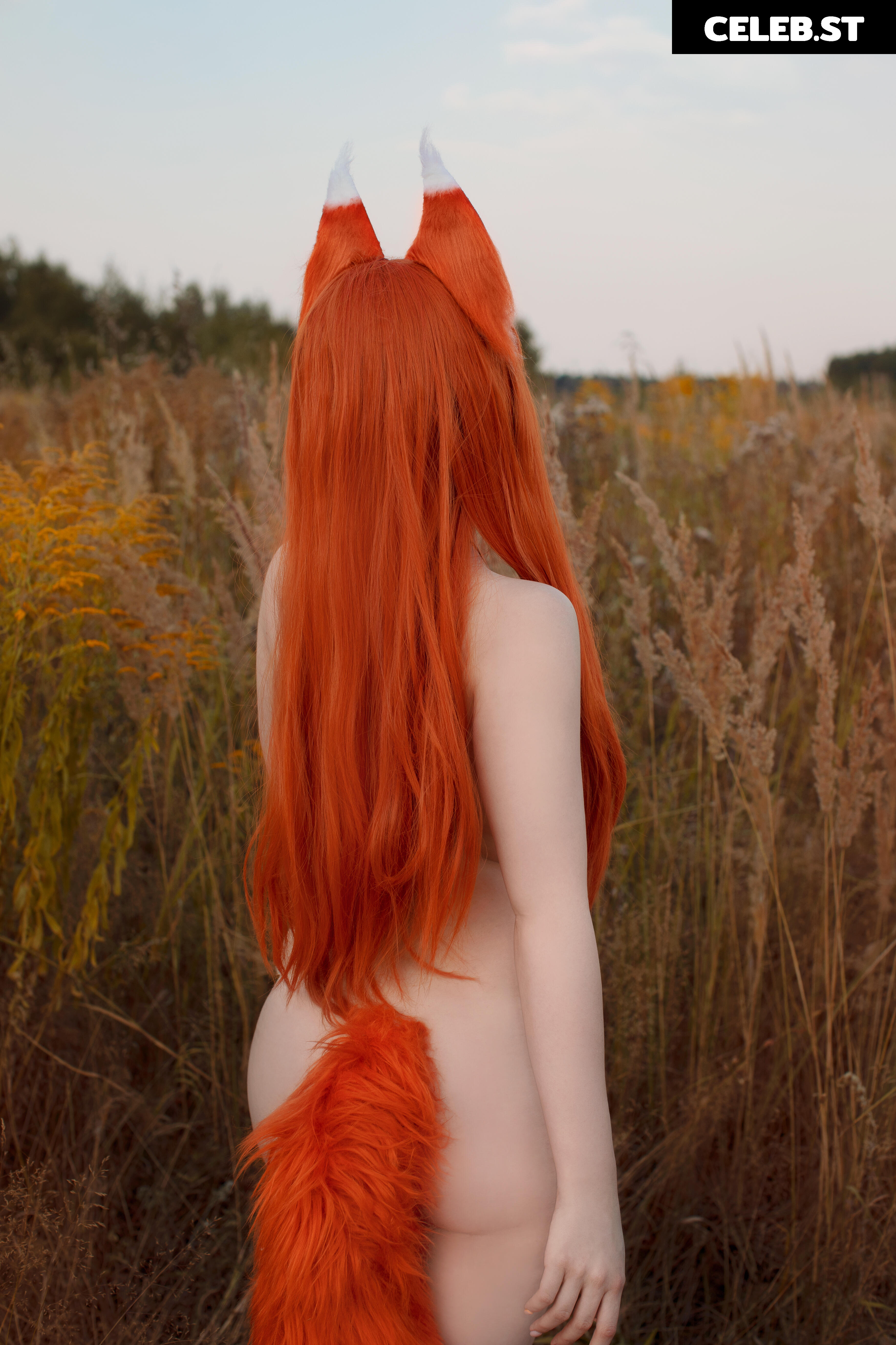 Caticornplay Image 24648170