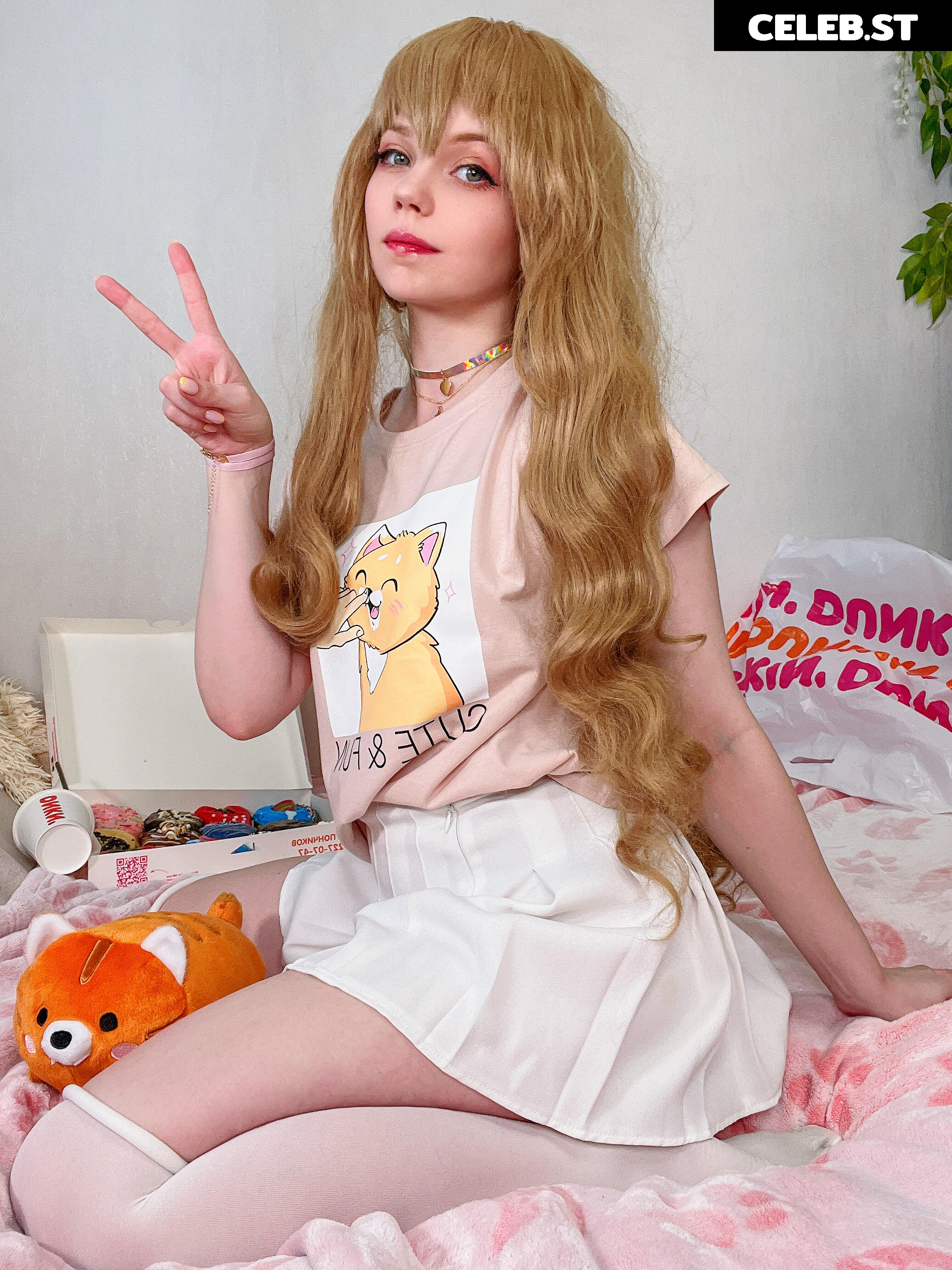 Caticornplay Image 24648099