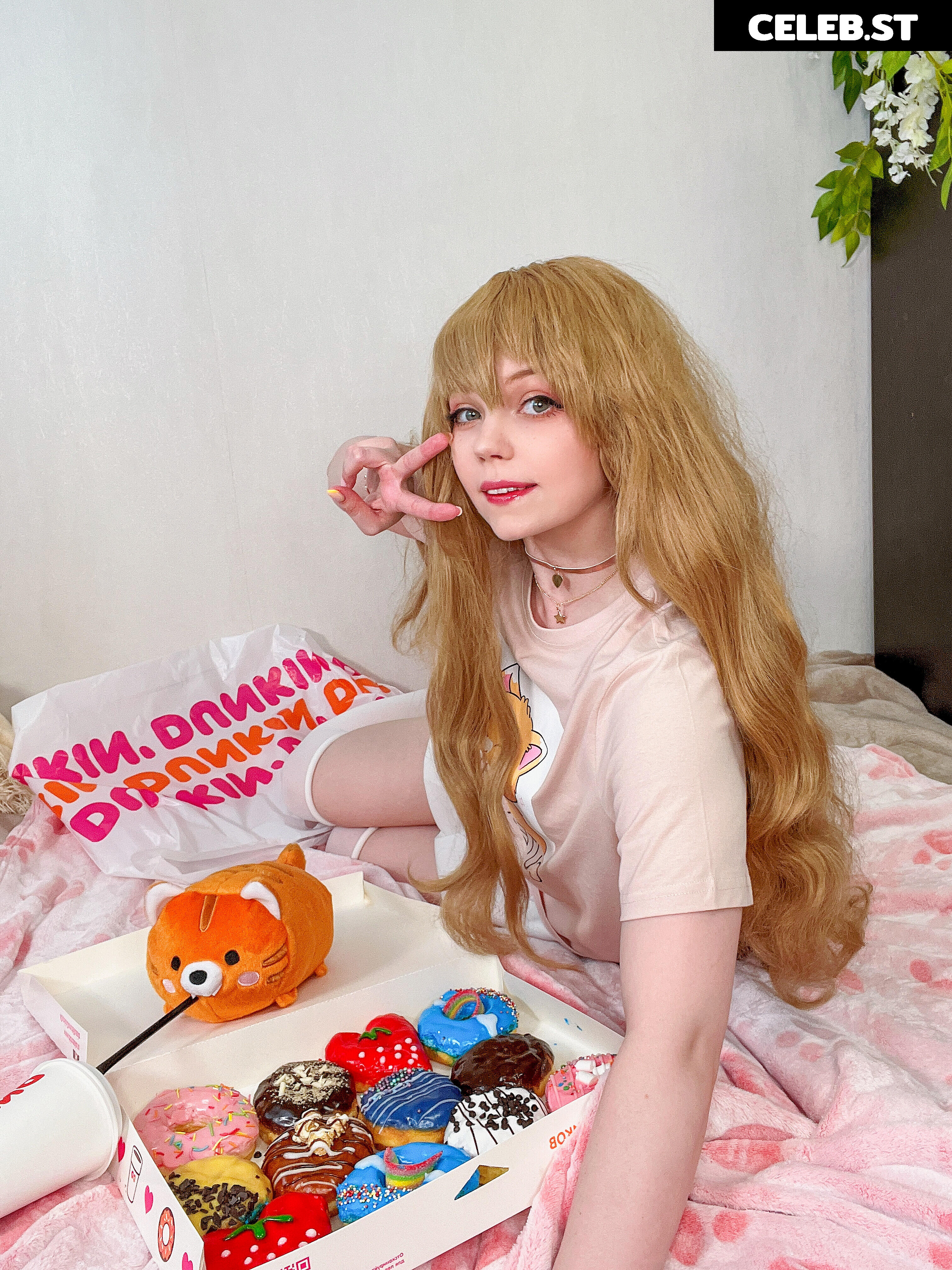 Caticornplay Image 24648081