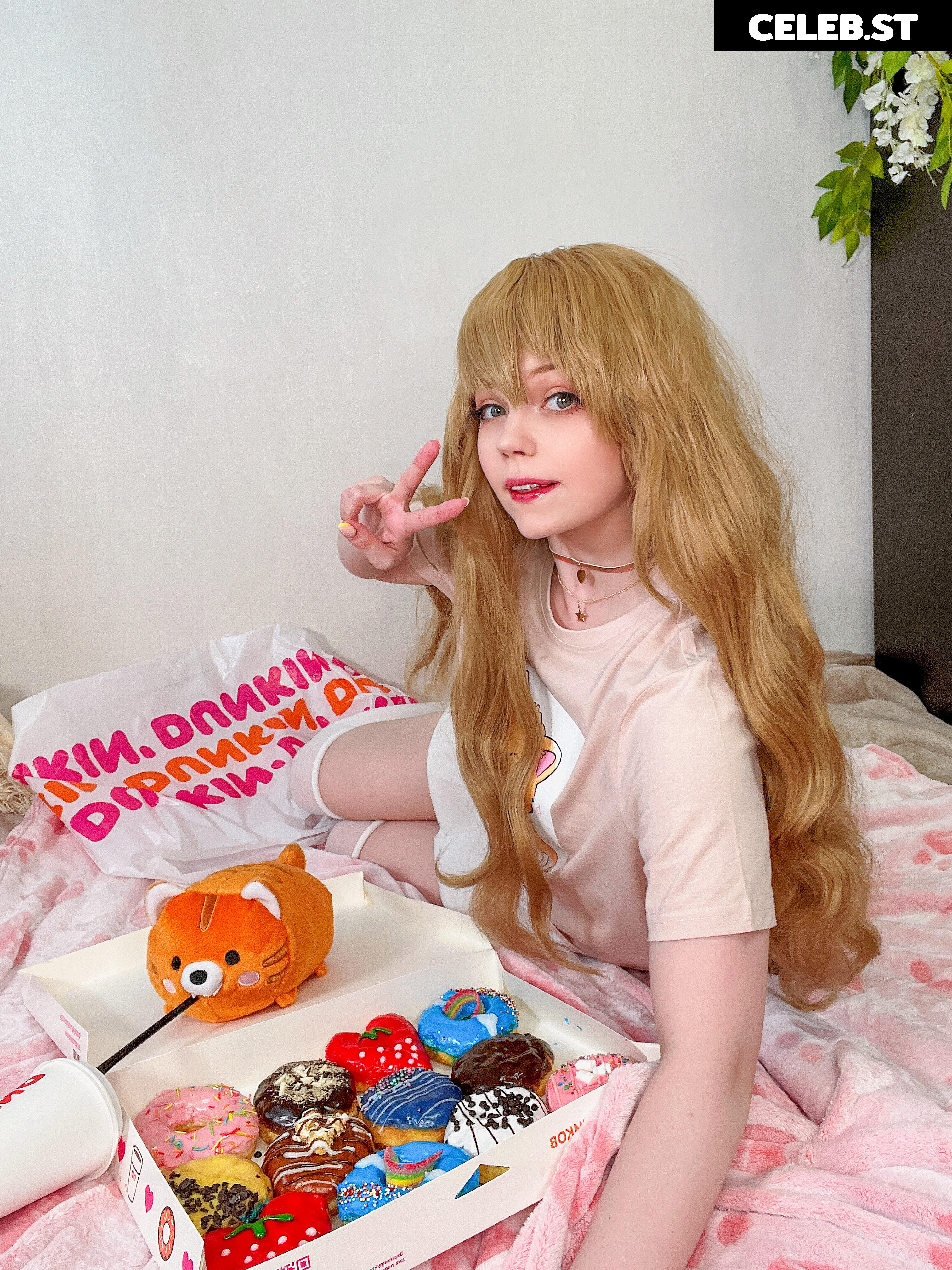 Caticornplay Image 24648080