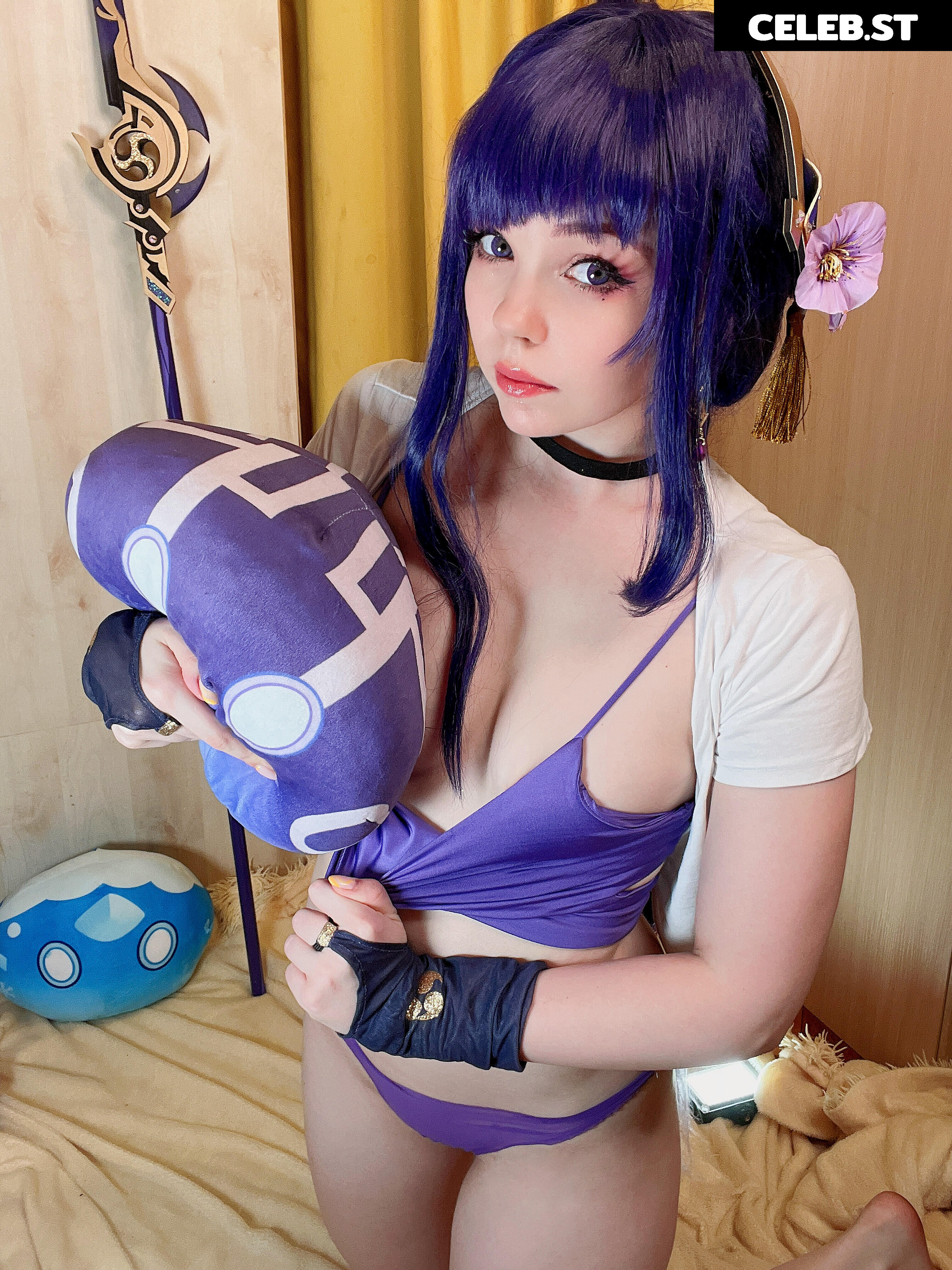 Caticornplay Image 24648062