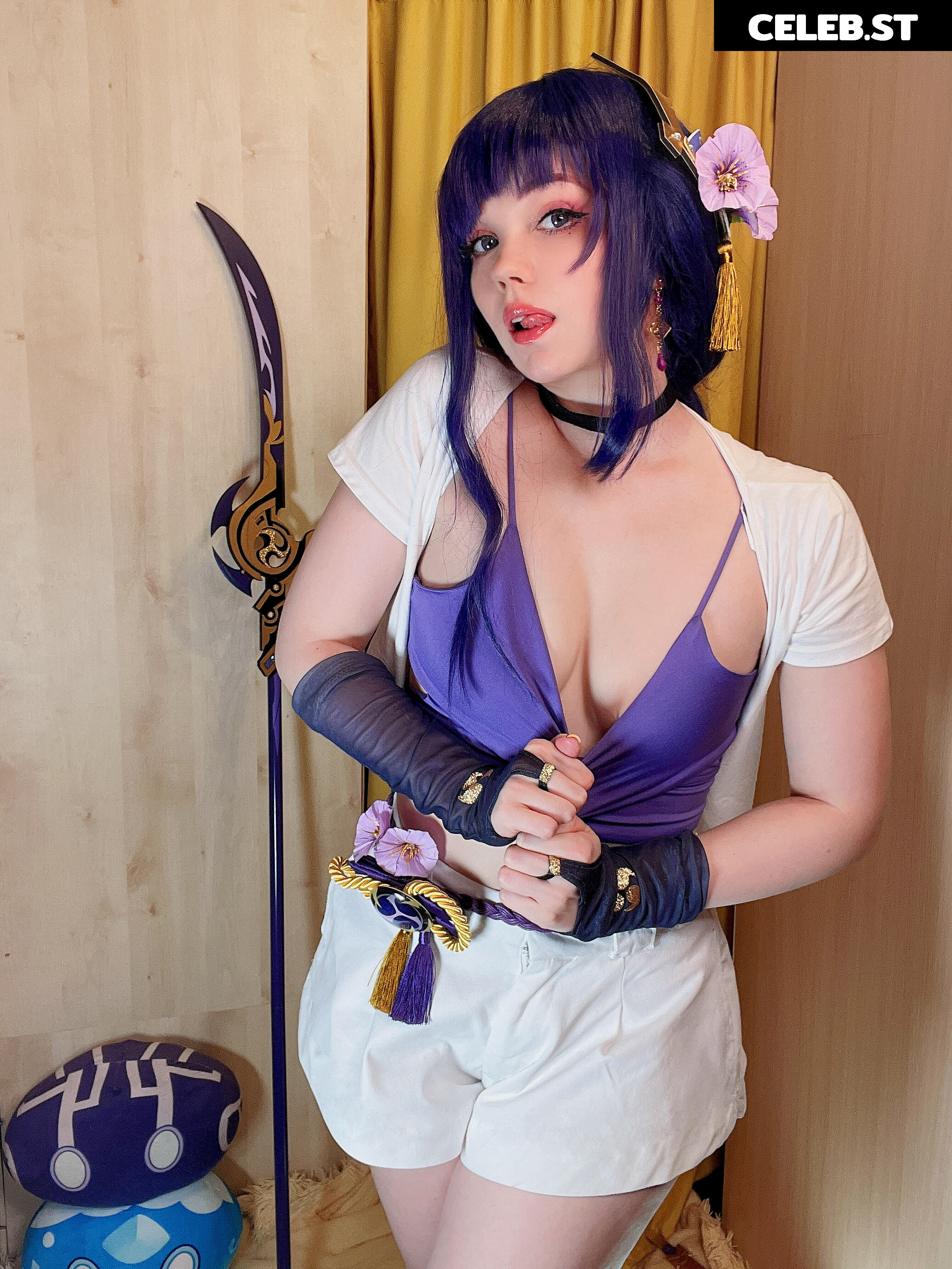 Caticornplay Image 24648056