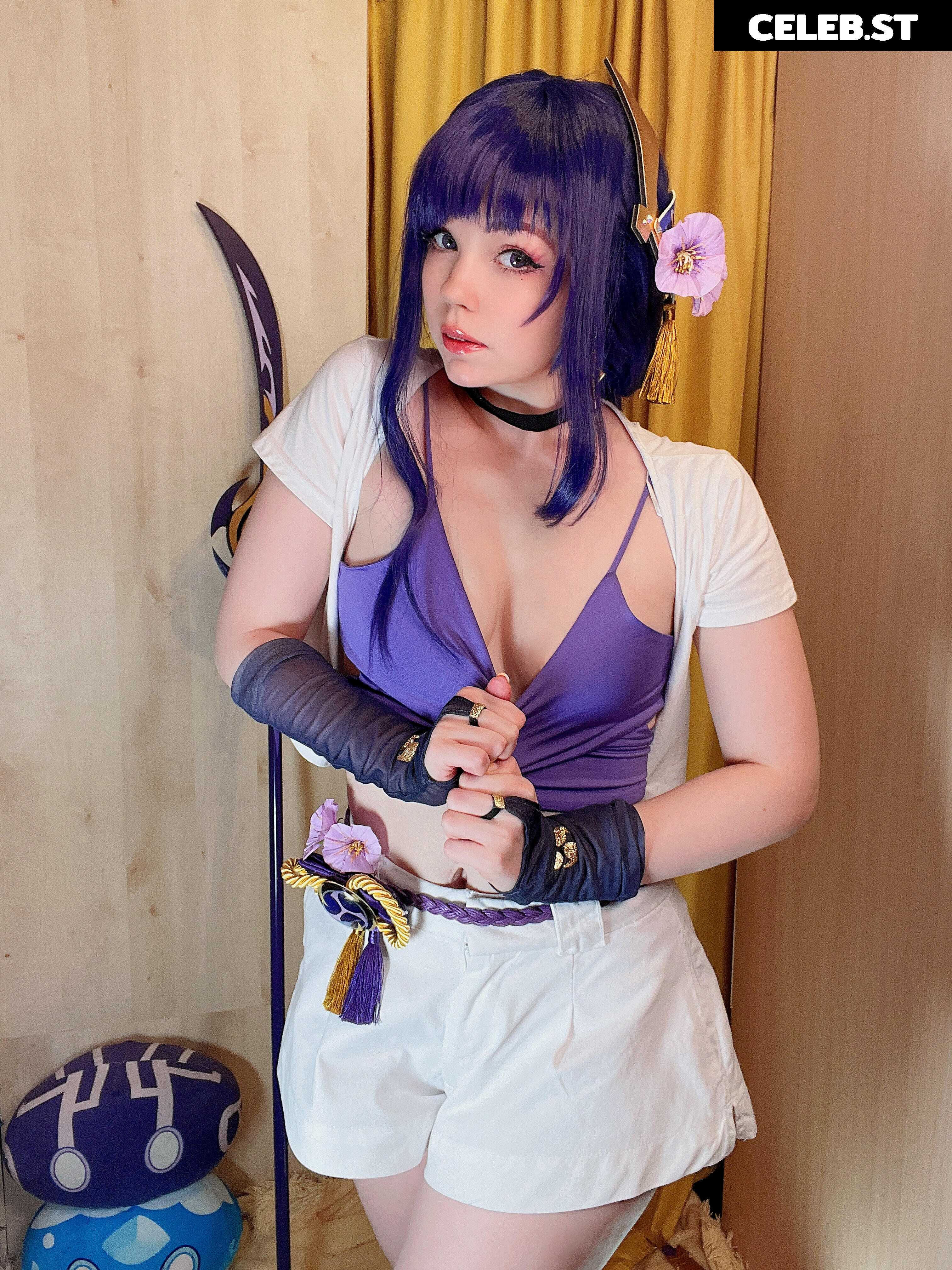 Caticornplay Image 24648055