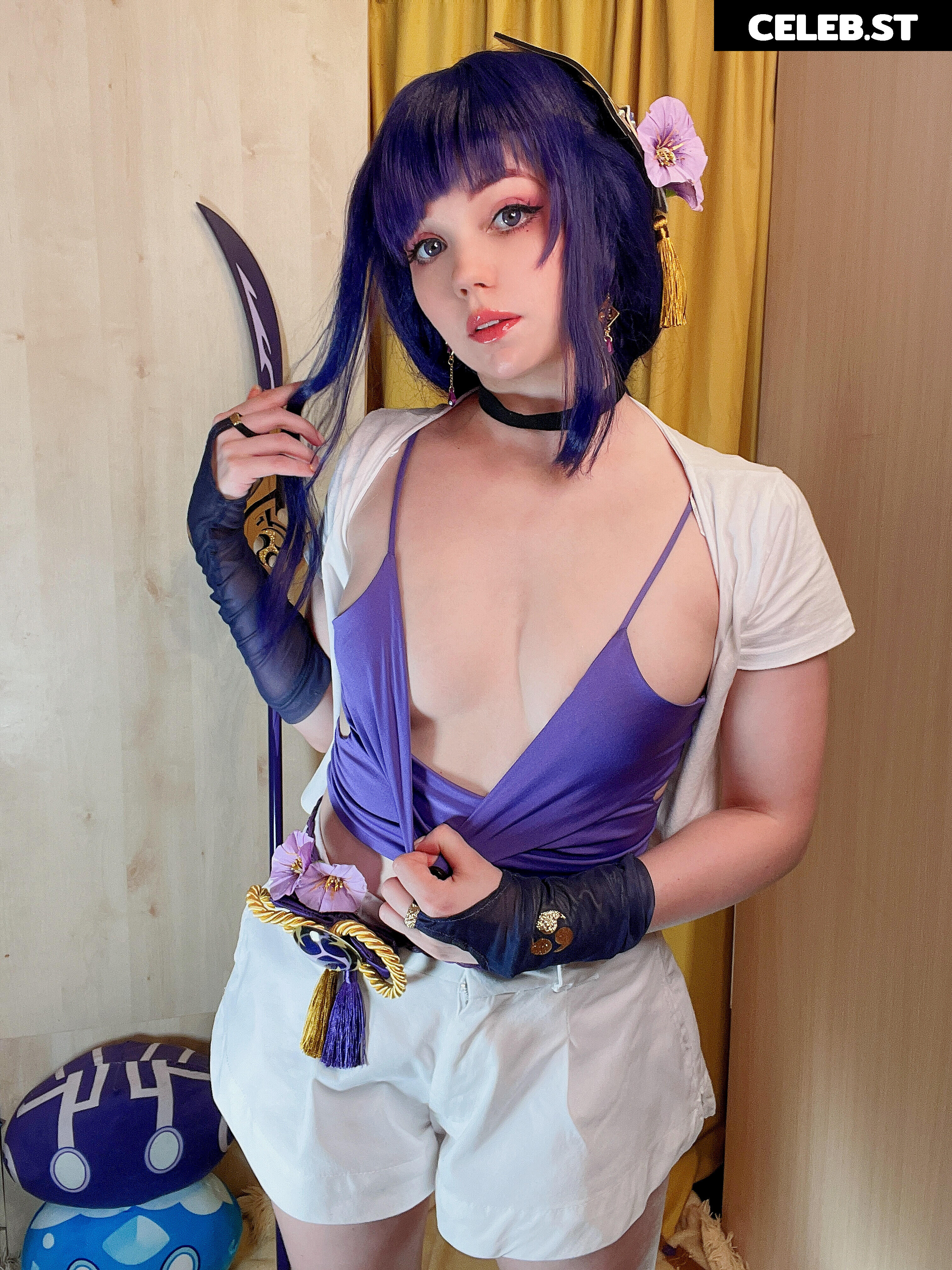 Caticornplay Image 24648058