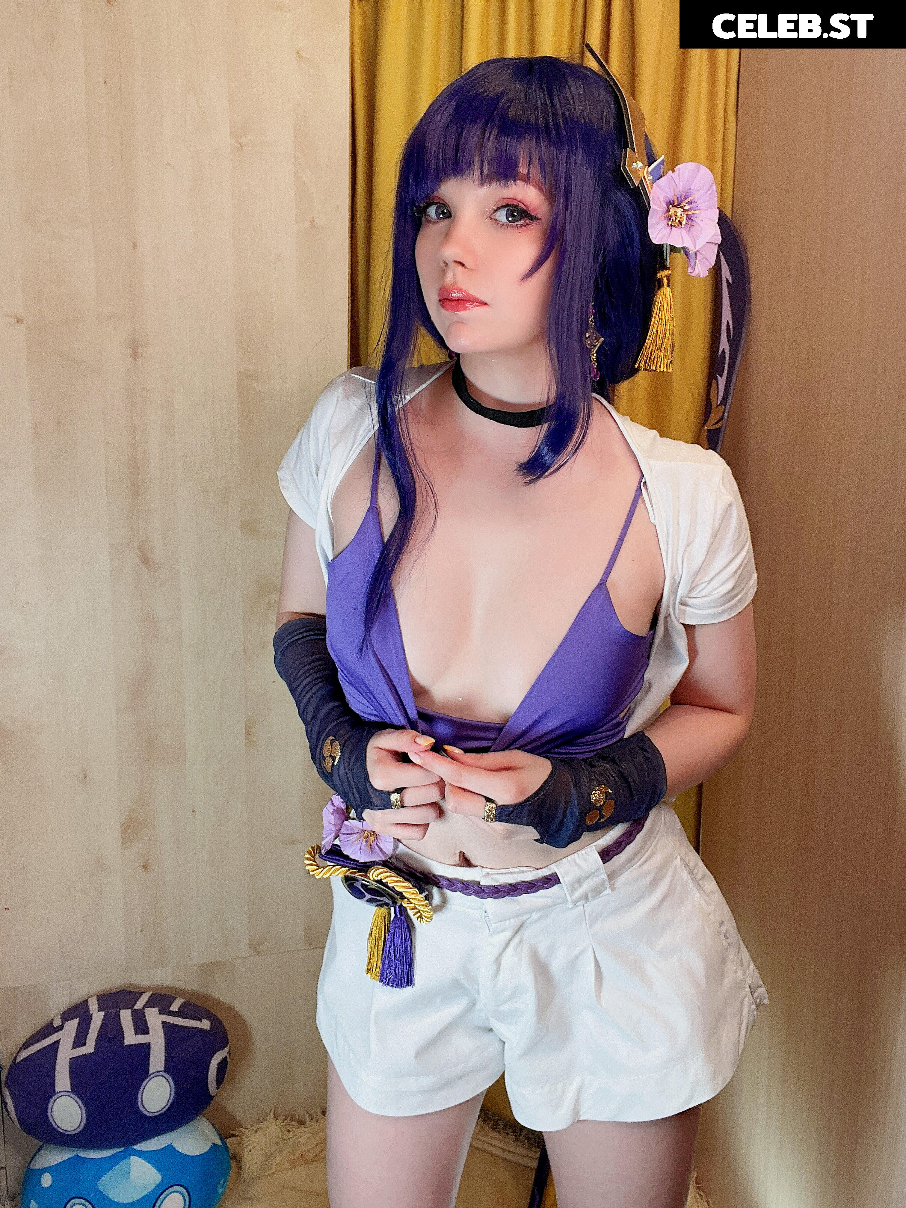 Caticornplay Image 24648048