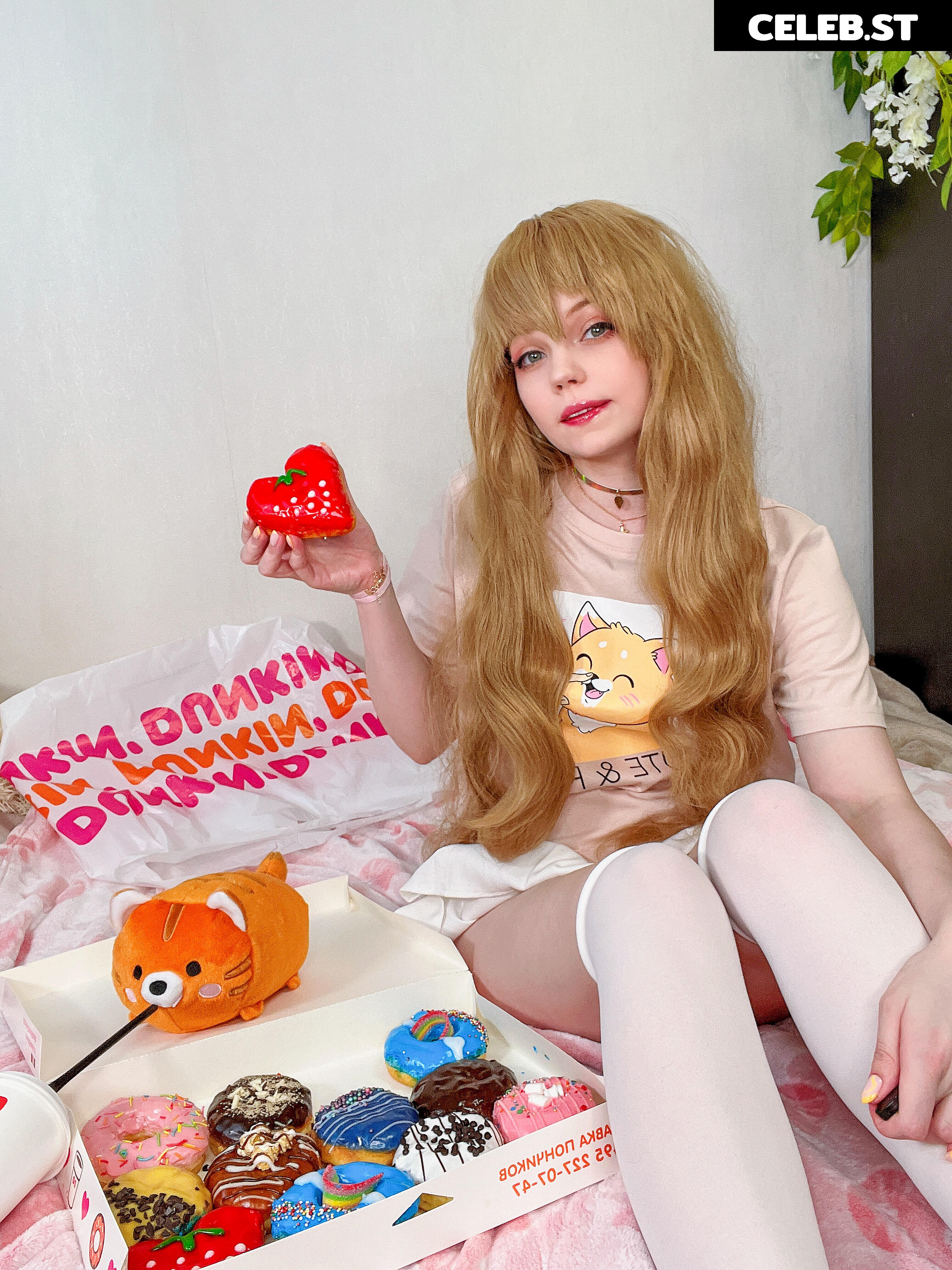 Caticornplay Image 24648075