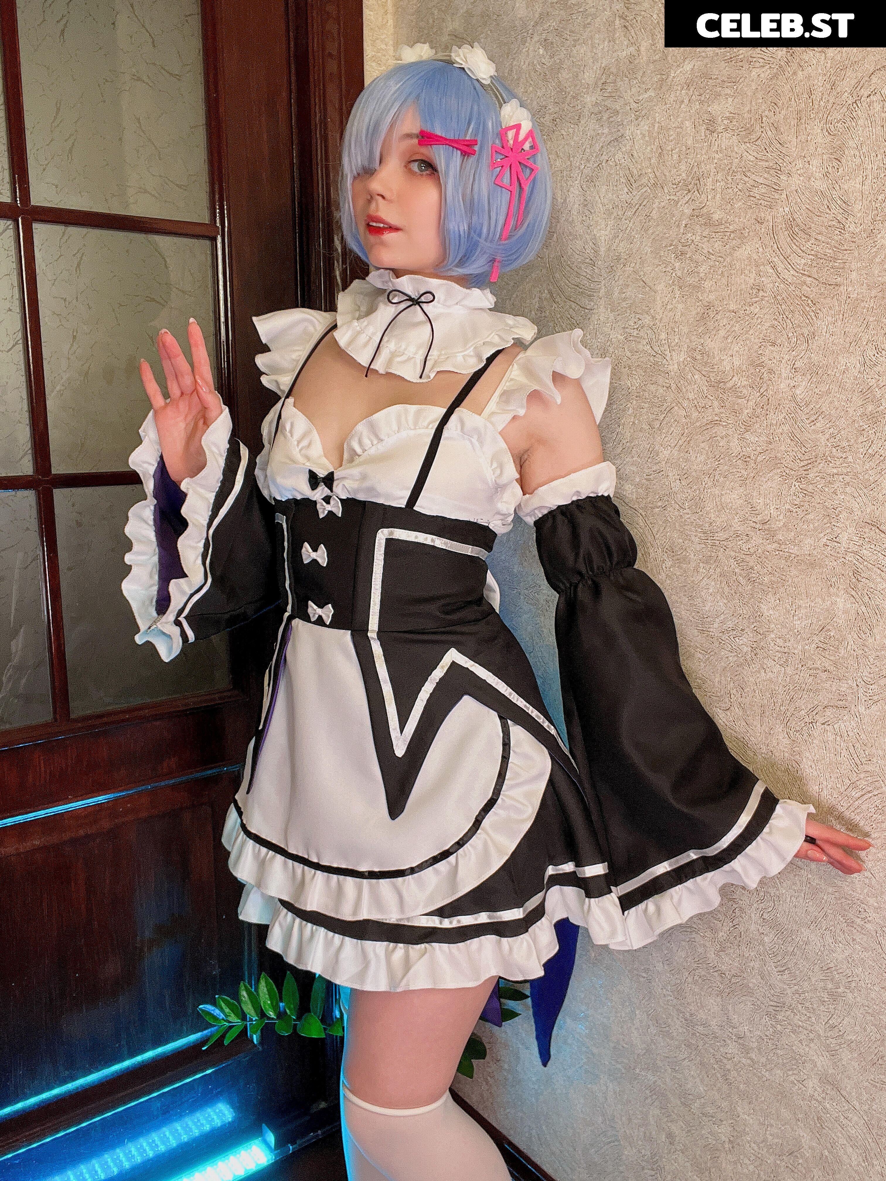 Caticornplay Image 24648311