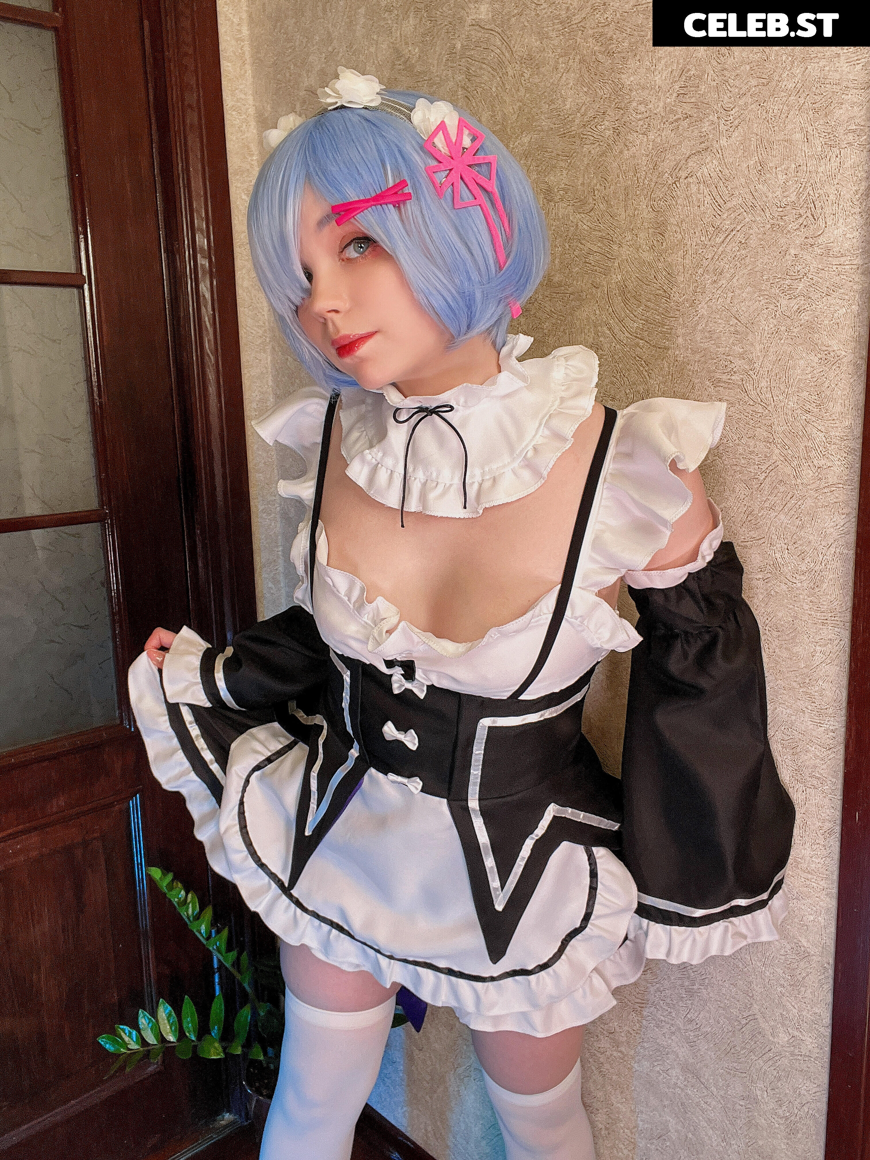 Caticornplay Image 24648300