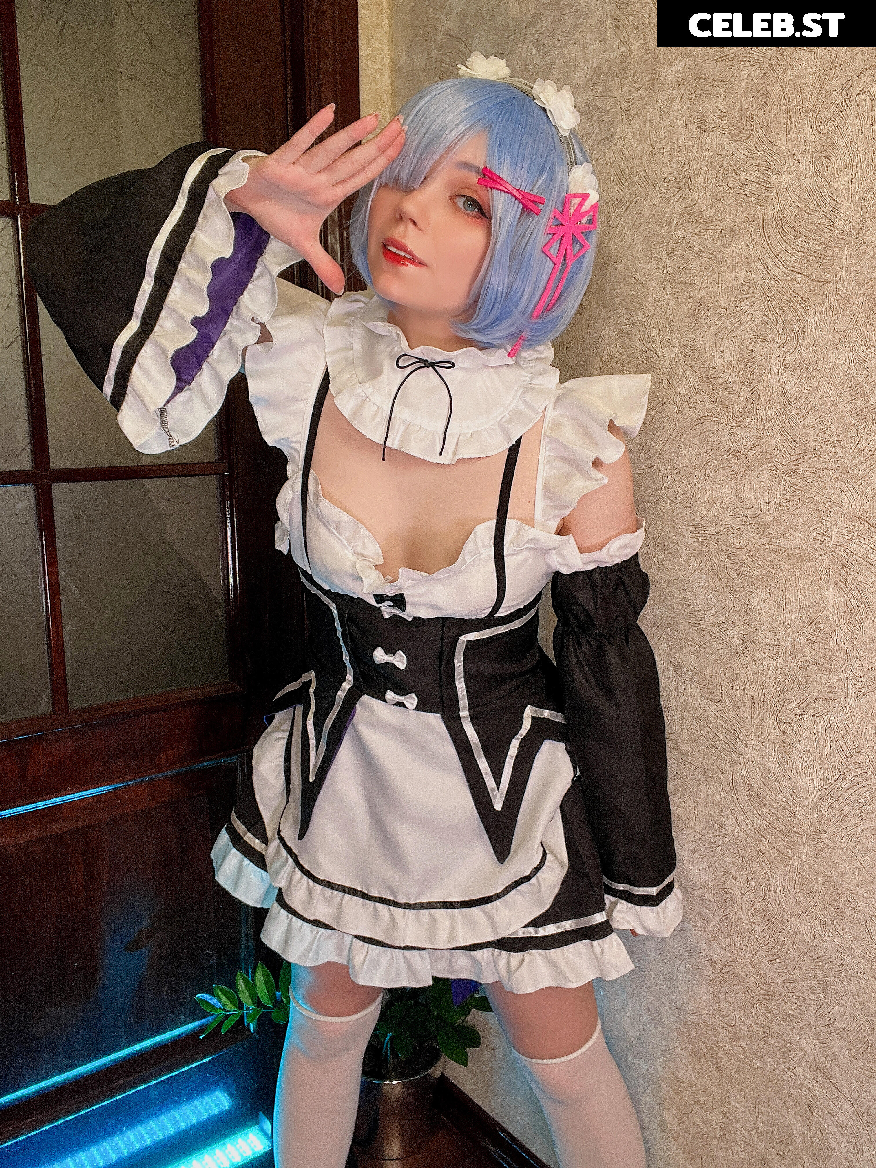 Caticornplay Image 24648309
