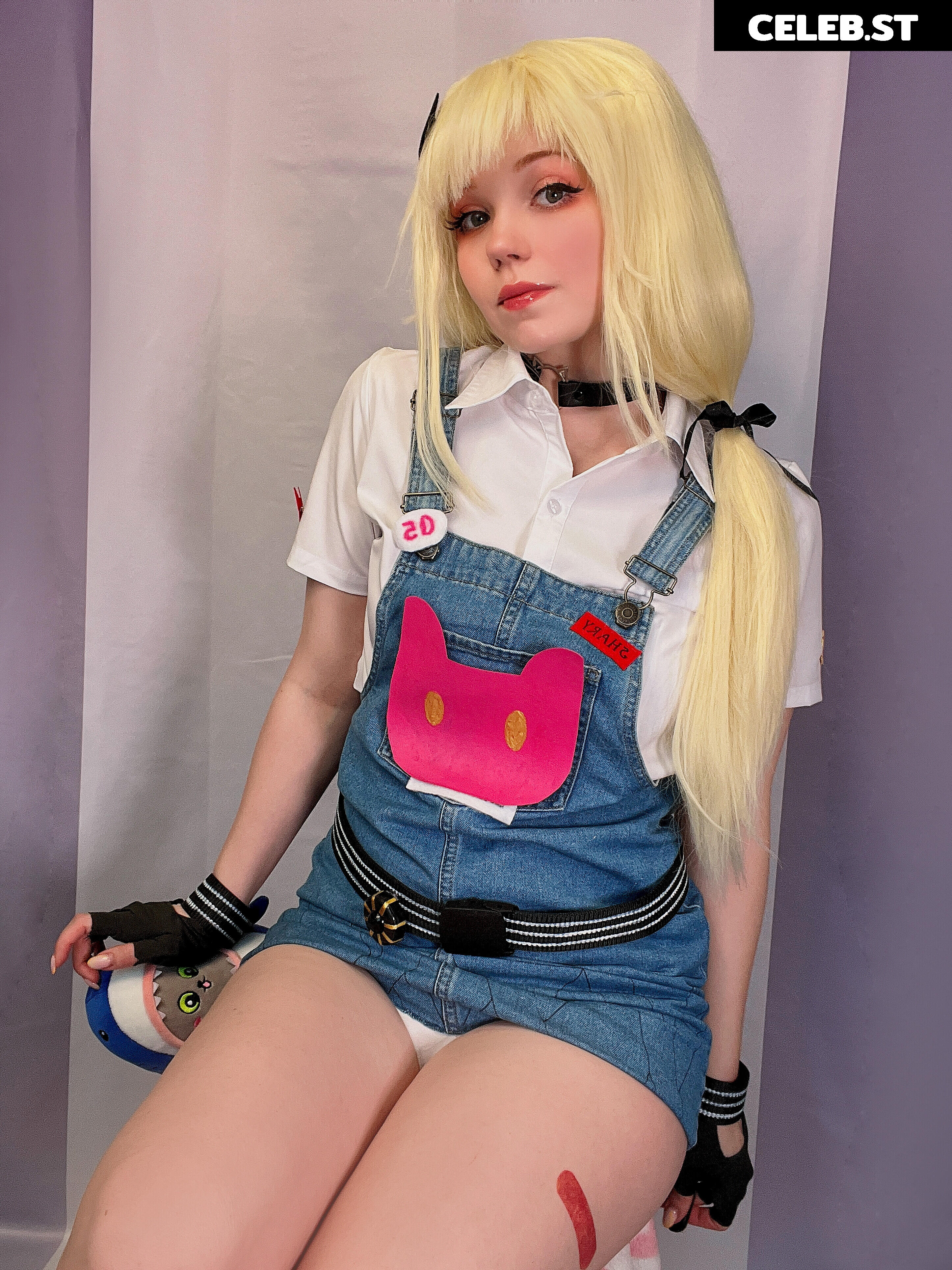 Caticornplay Image 24648332