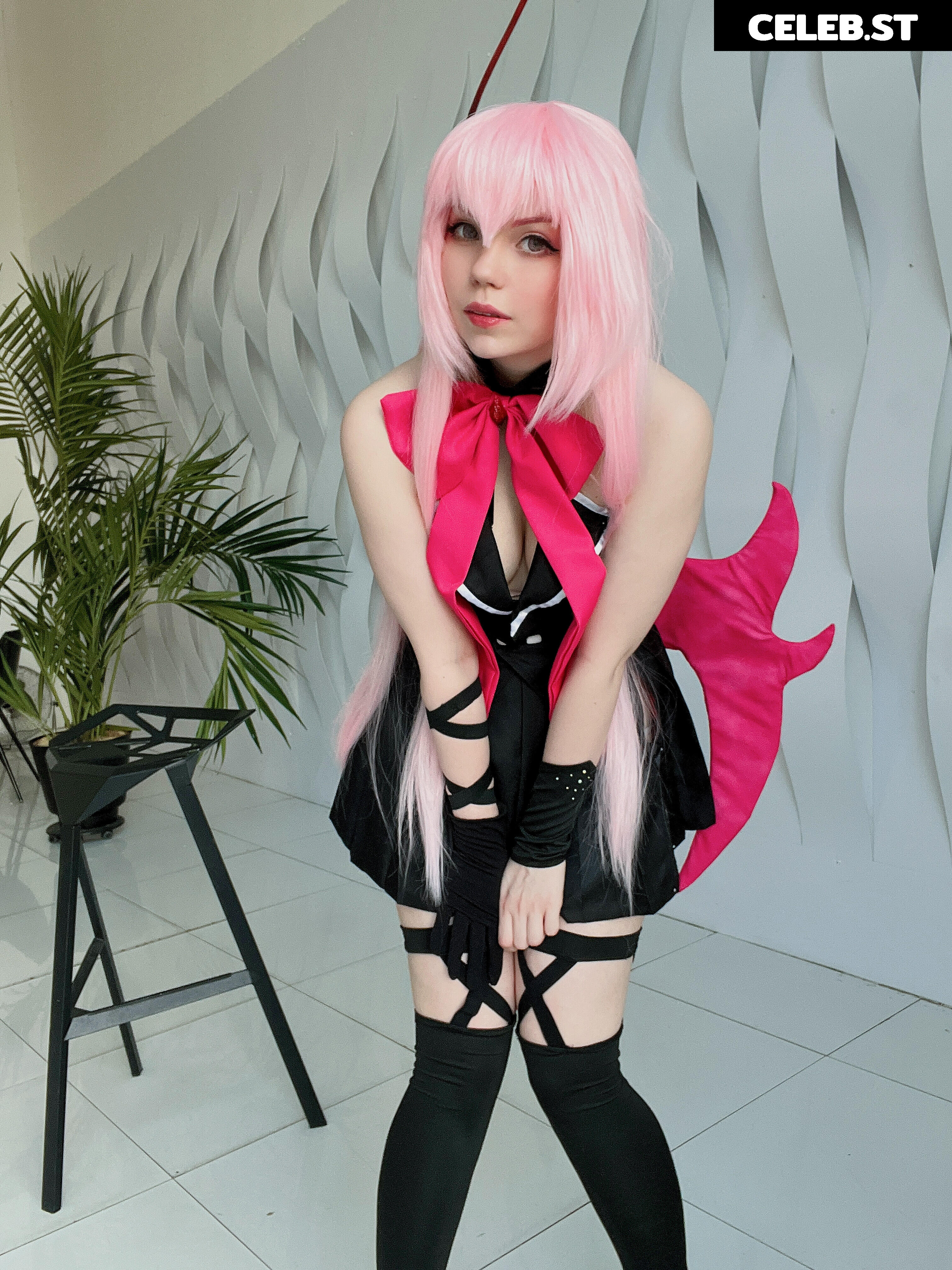 Caticornplay Image 24648258