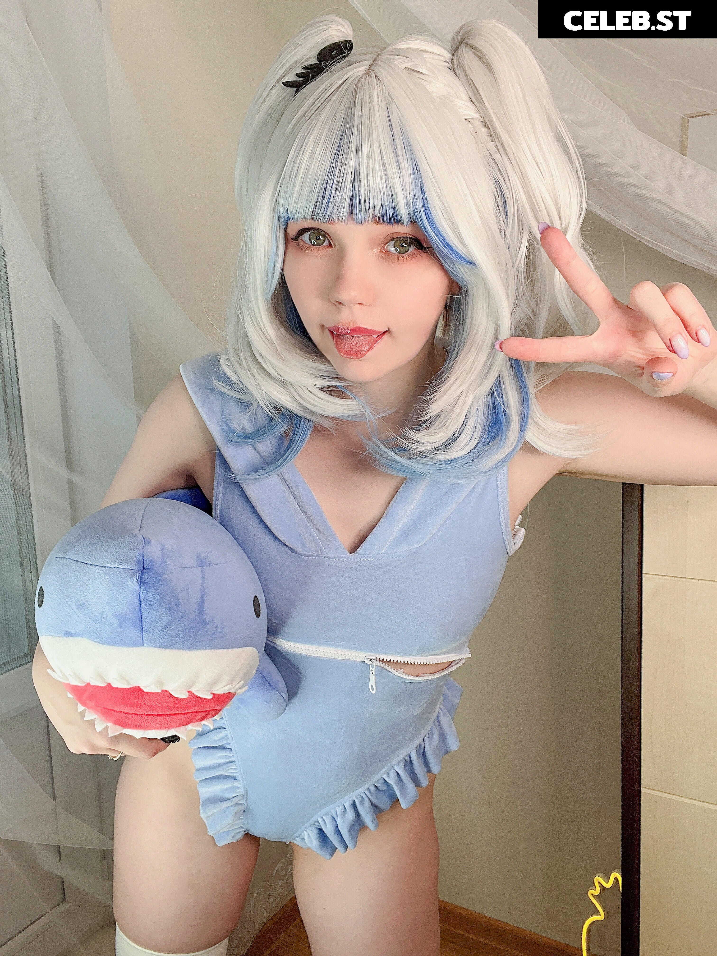 Caticornplay Image 24647838