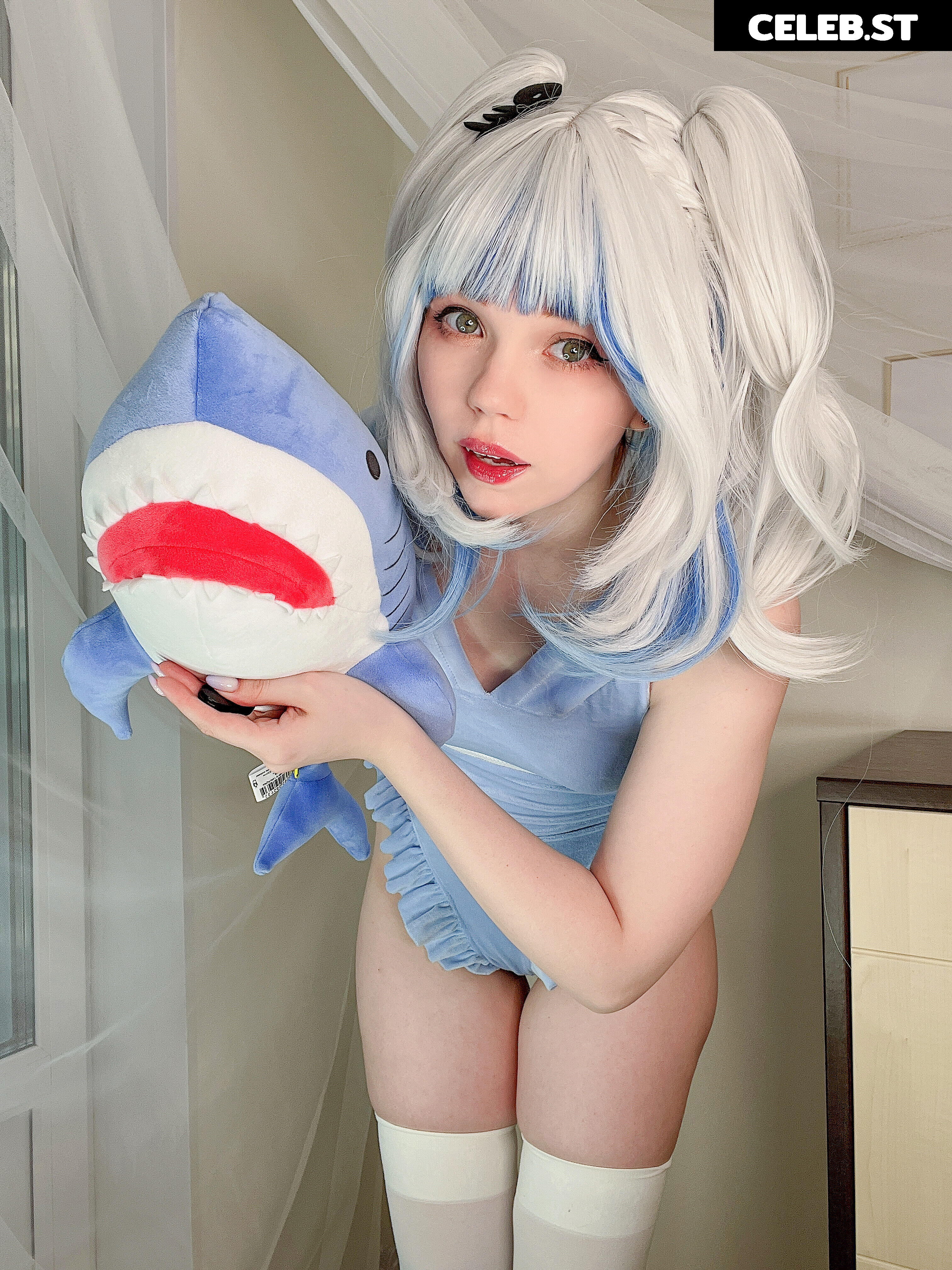 Caticornplay Image 24647840