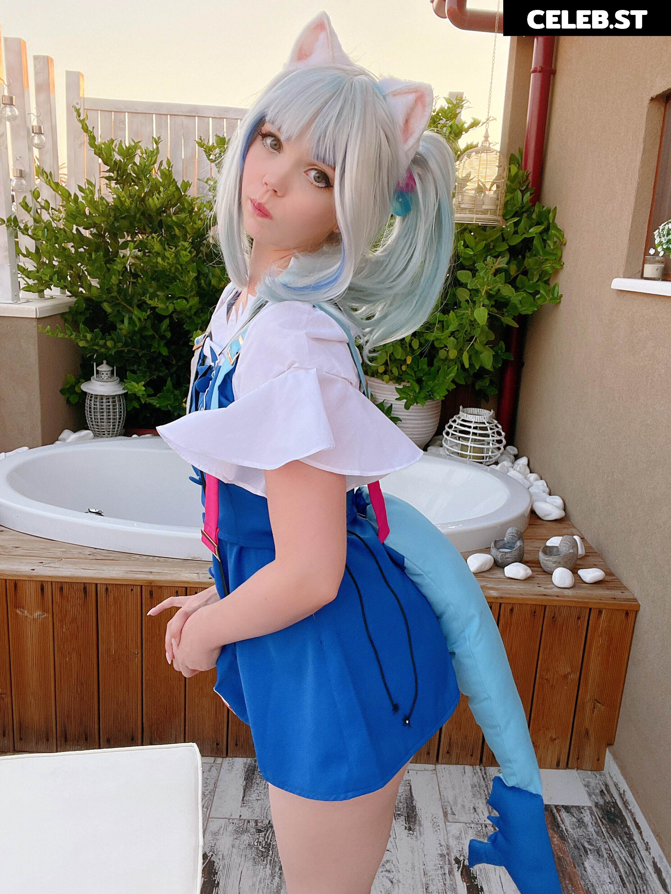 Caticornplay Image 24647581