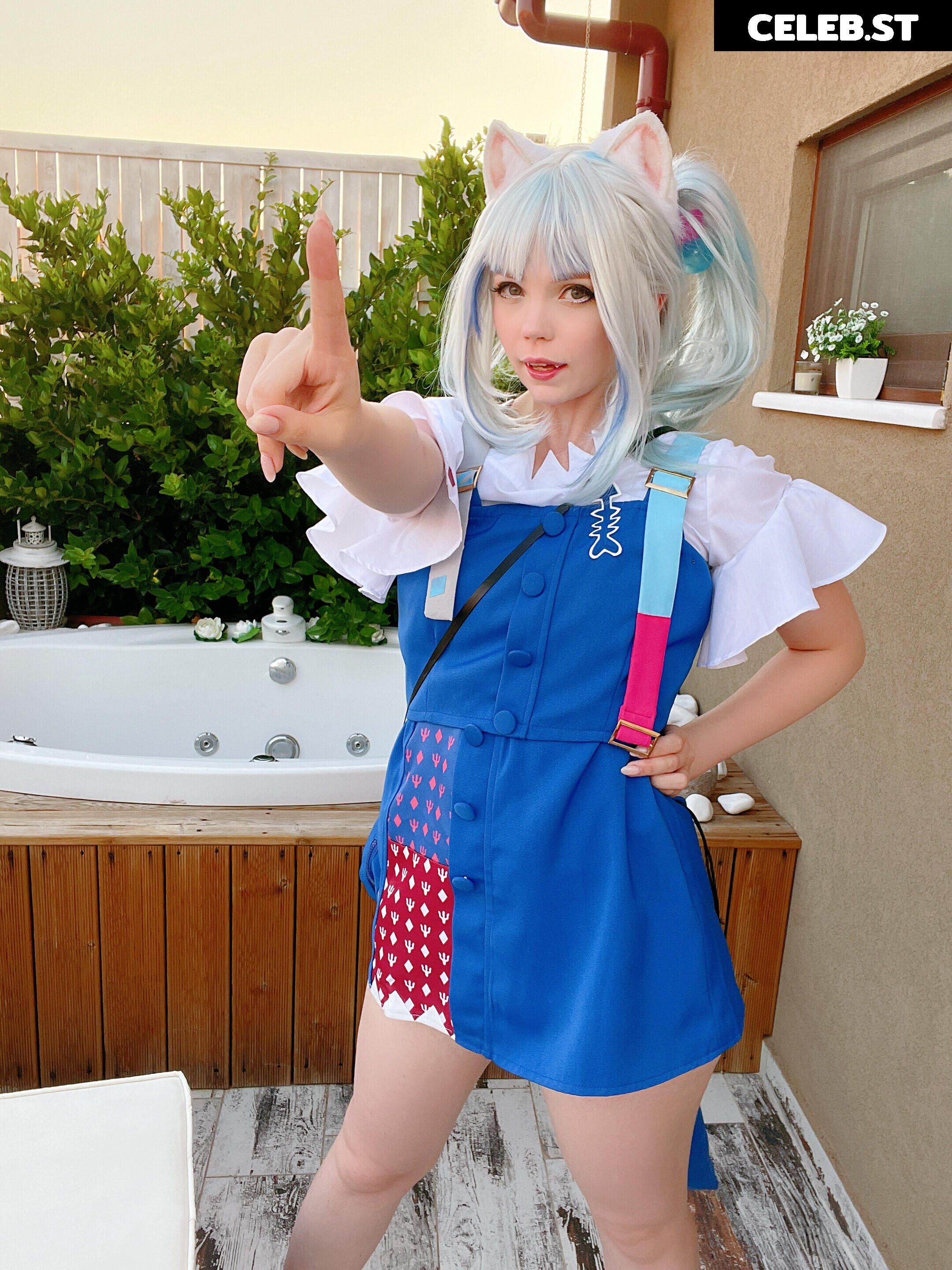 Caticornplay Image 24647571