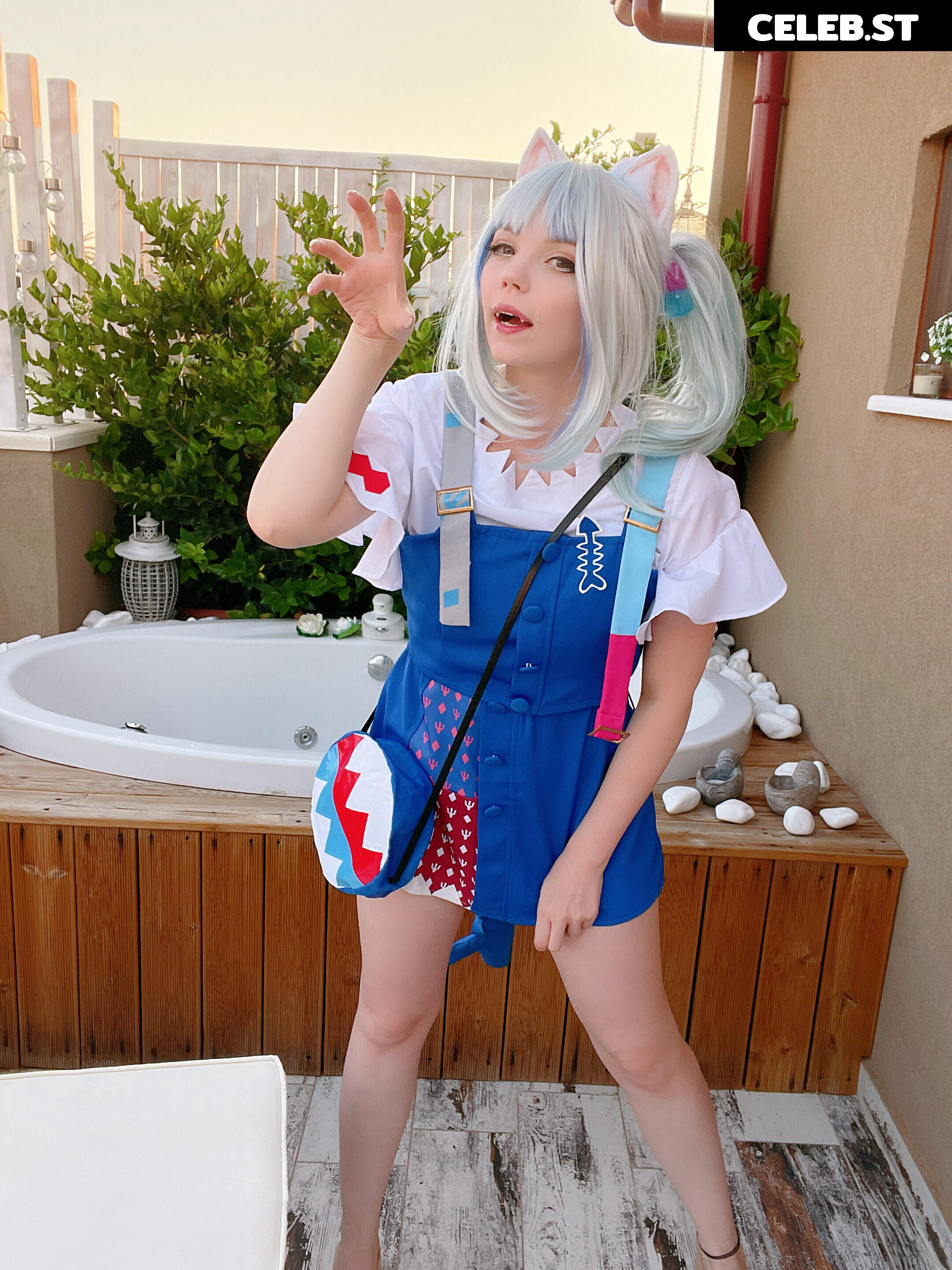 Caticornplay Image 24647575
