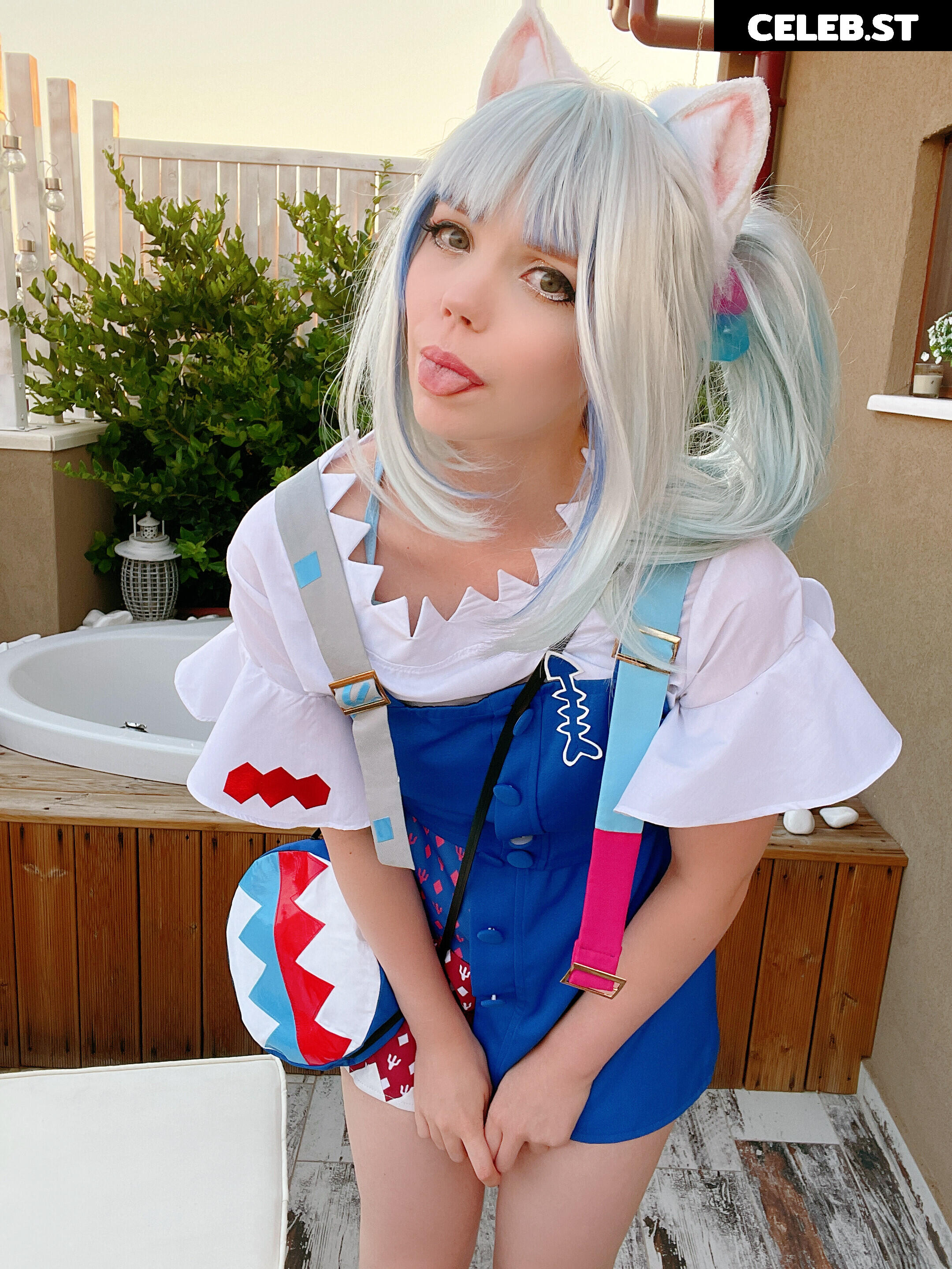 Caticornplay Image 24647578