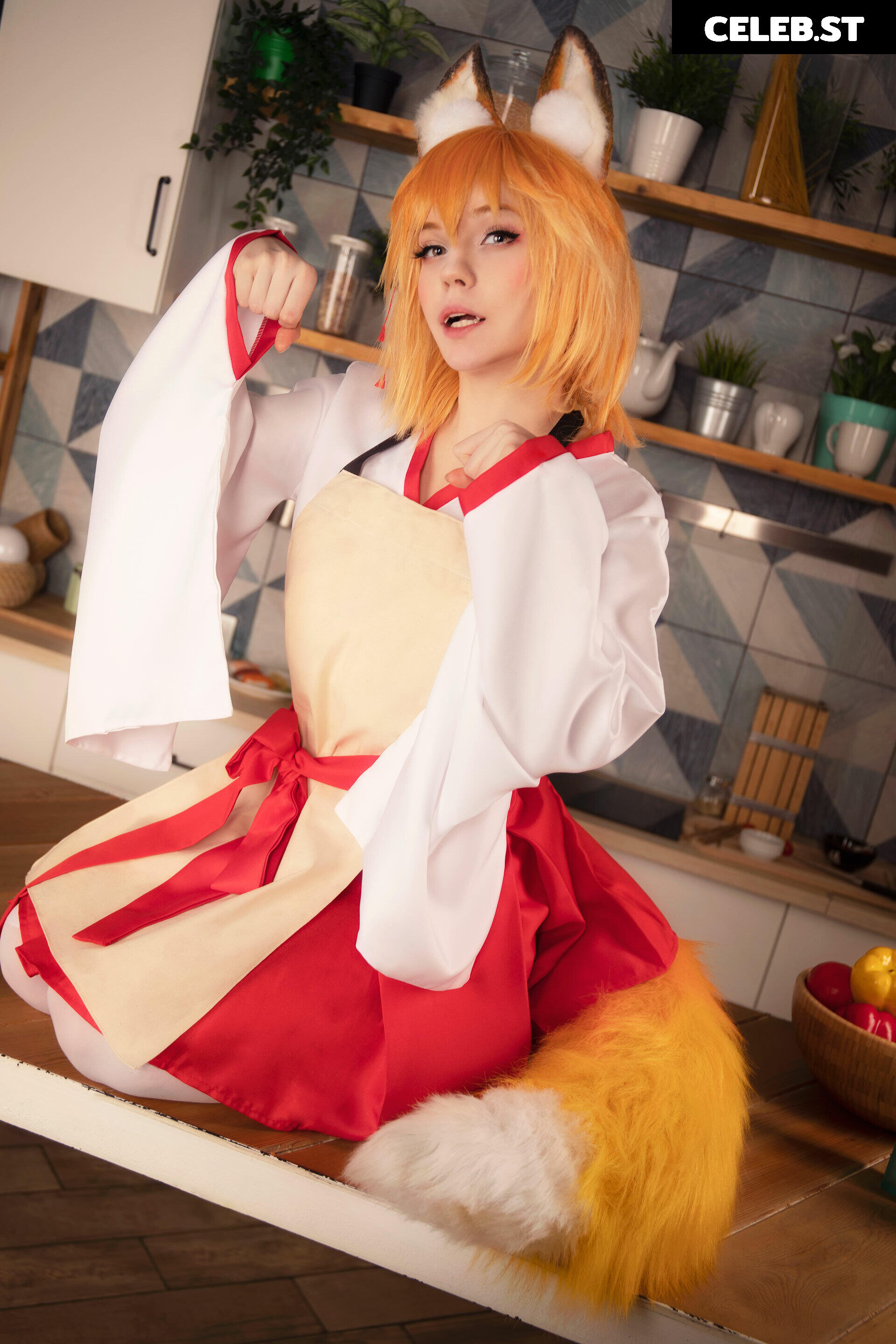 Caticornplay Image 24647401
