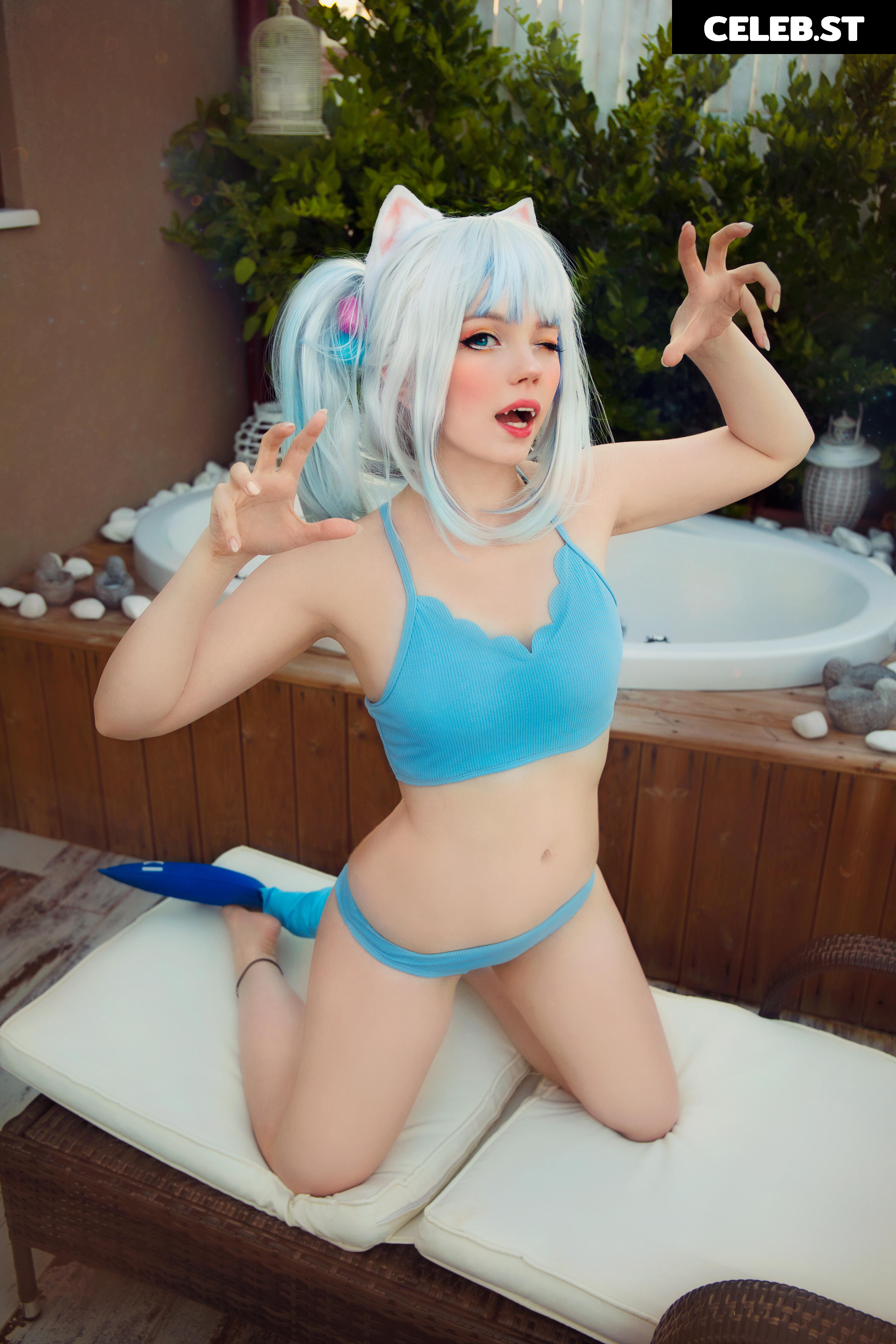 Caticornplay Image 24647451