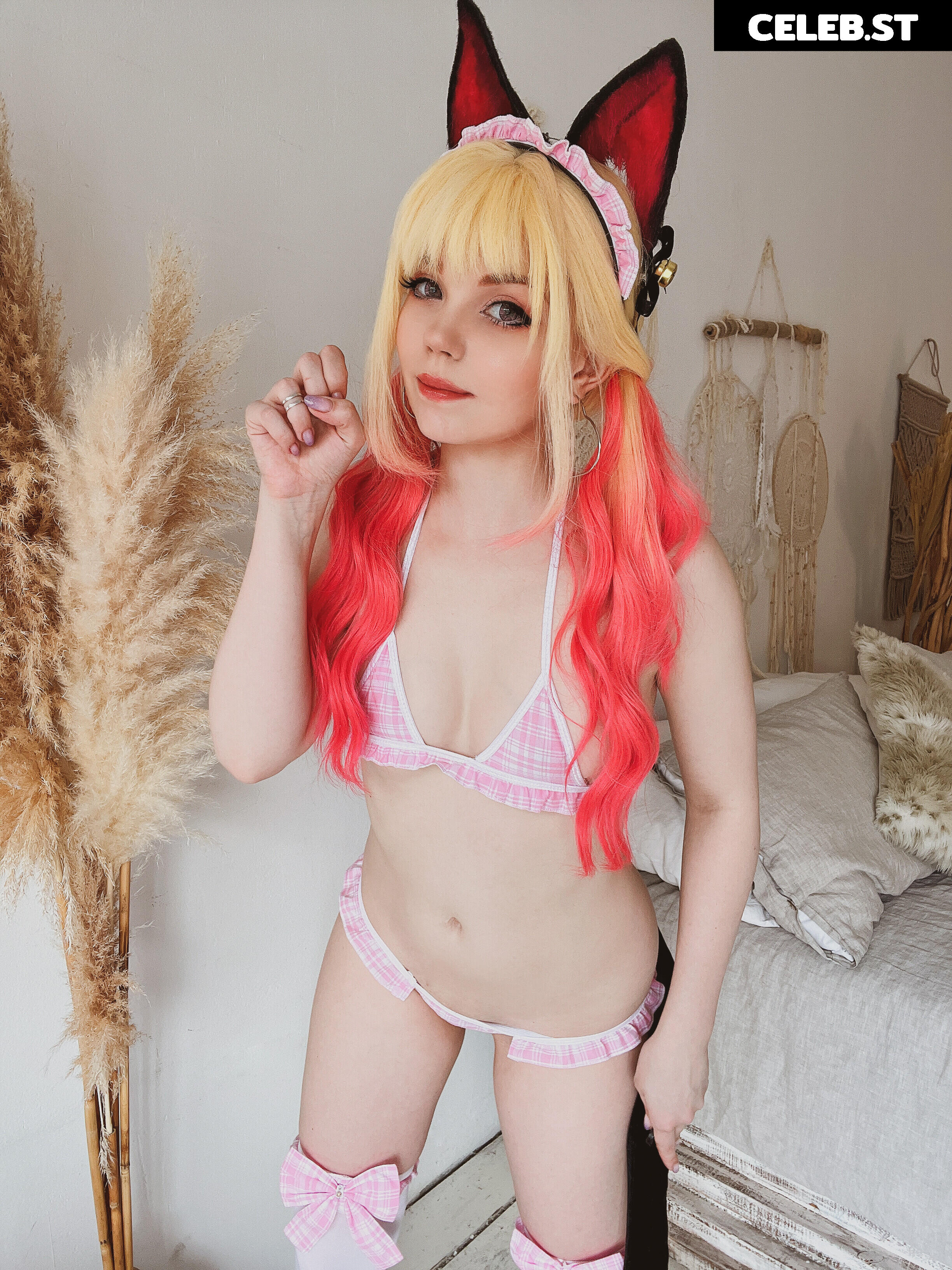 Caticornplay Image 24647657
