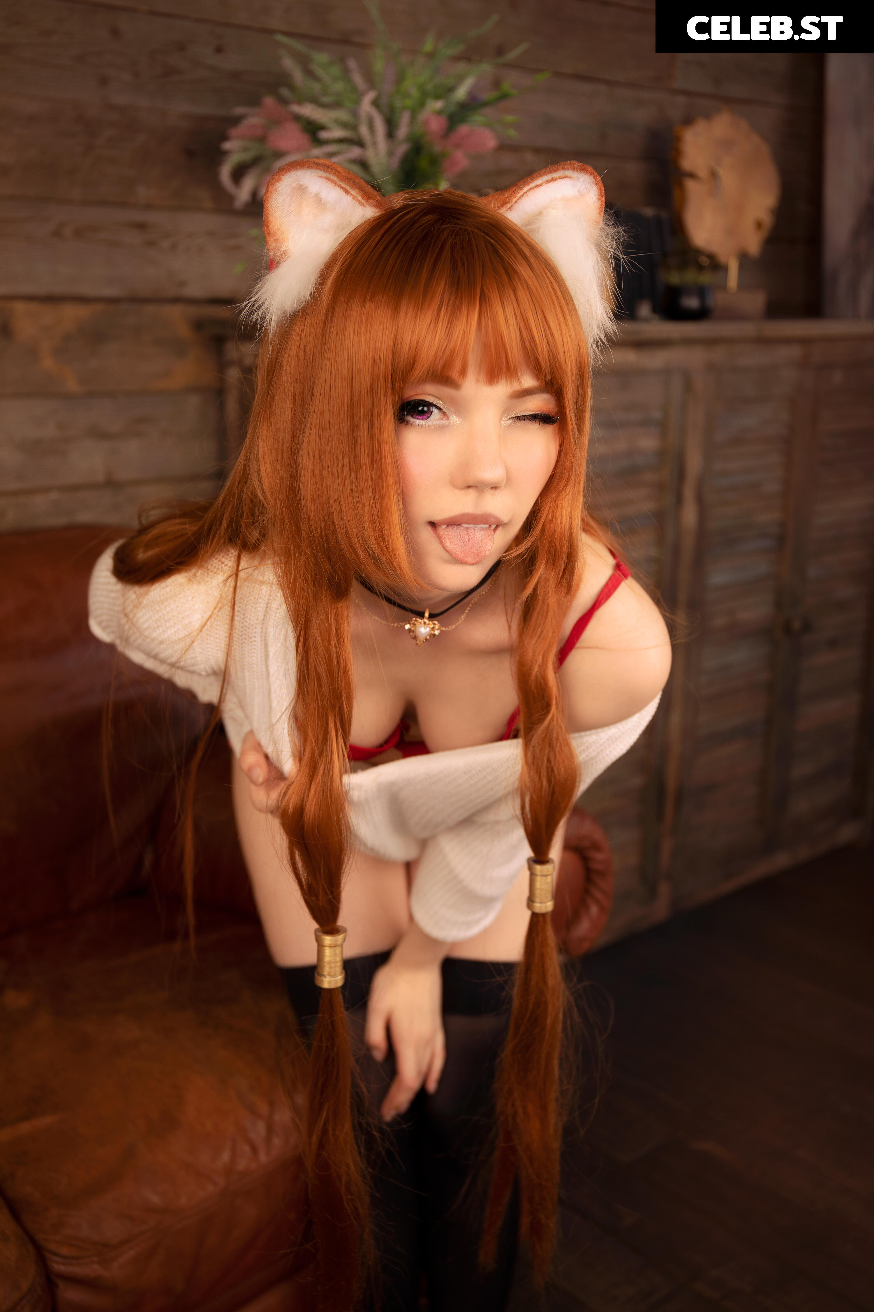 Caticornplay Image 24647367