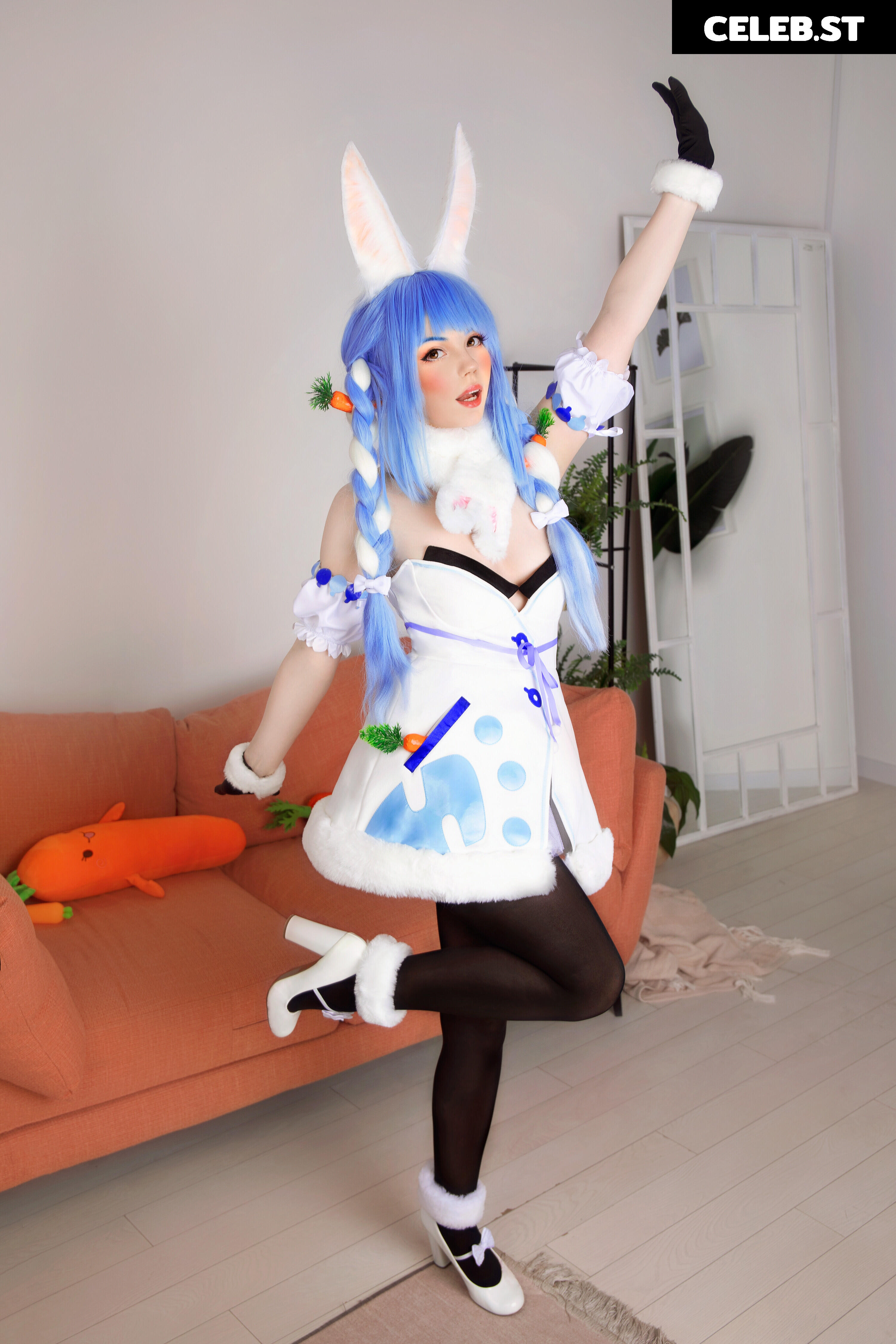 Caticornplay Image 24647290