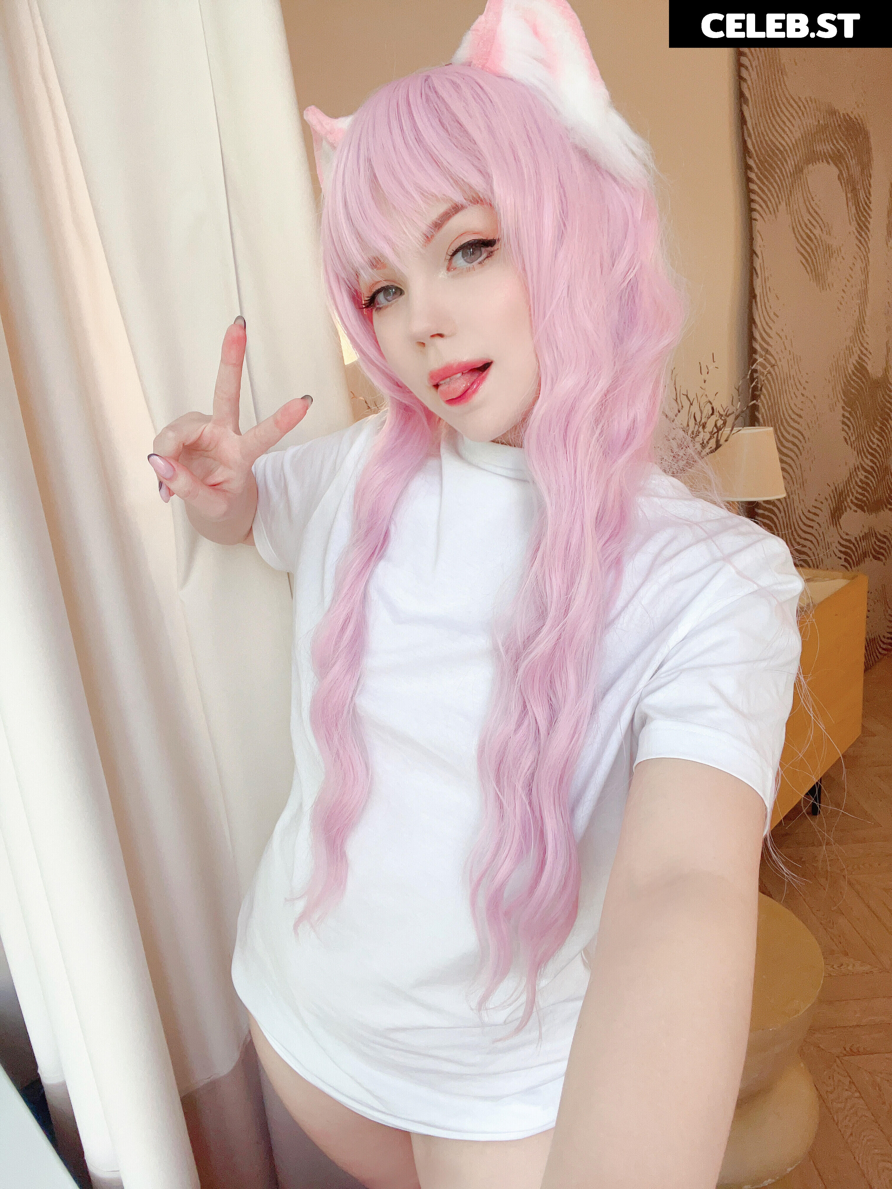 Caticornplay Image 24649157