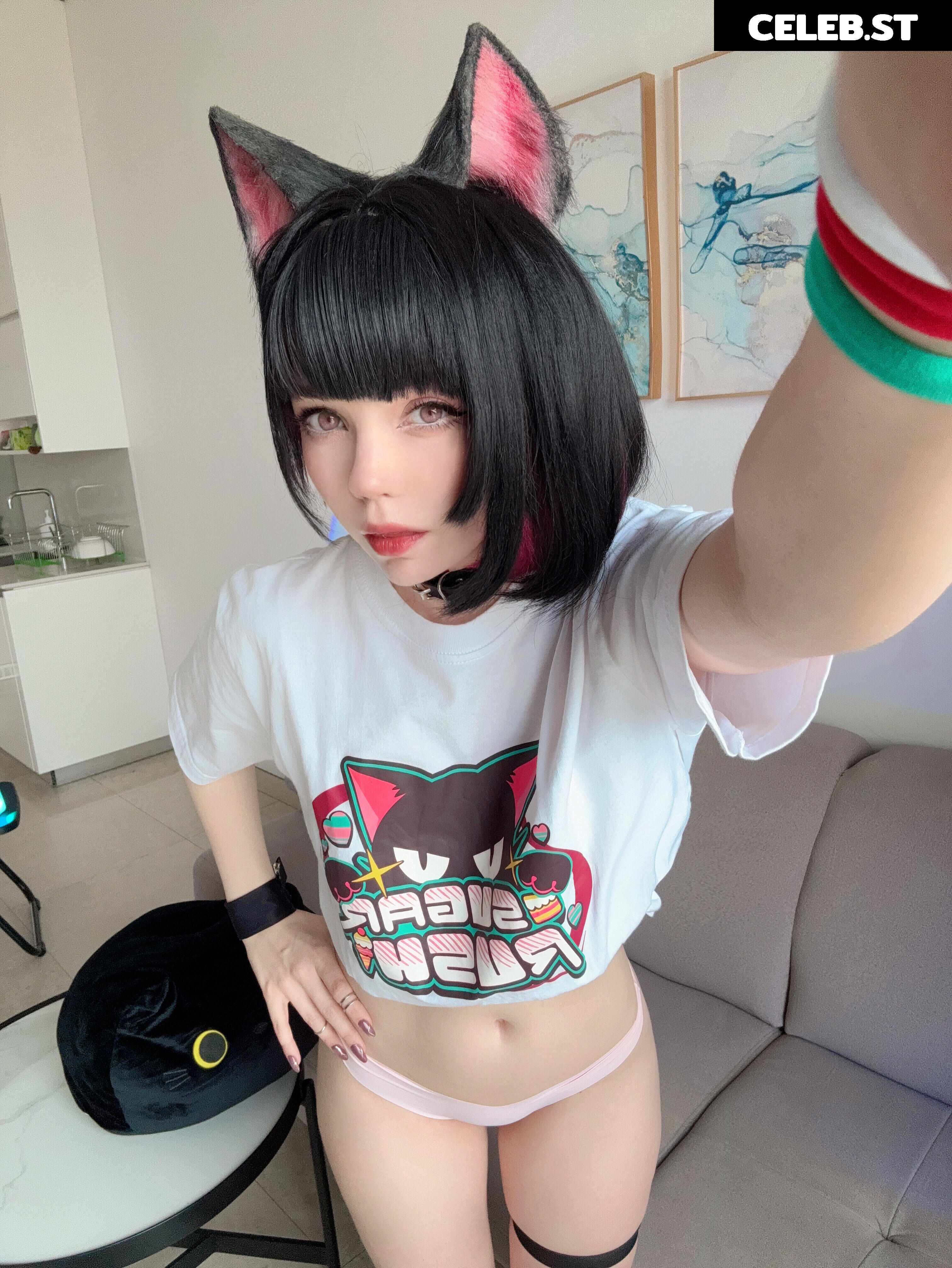 Caticornplay Image 24649375