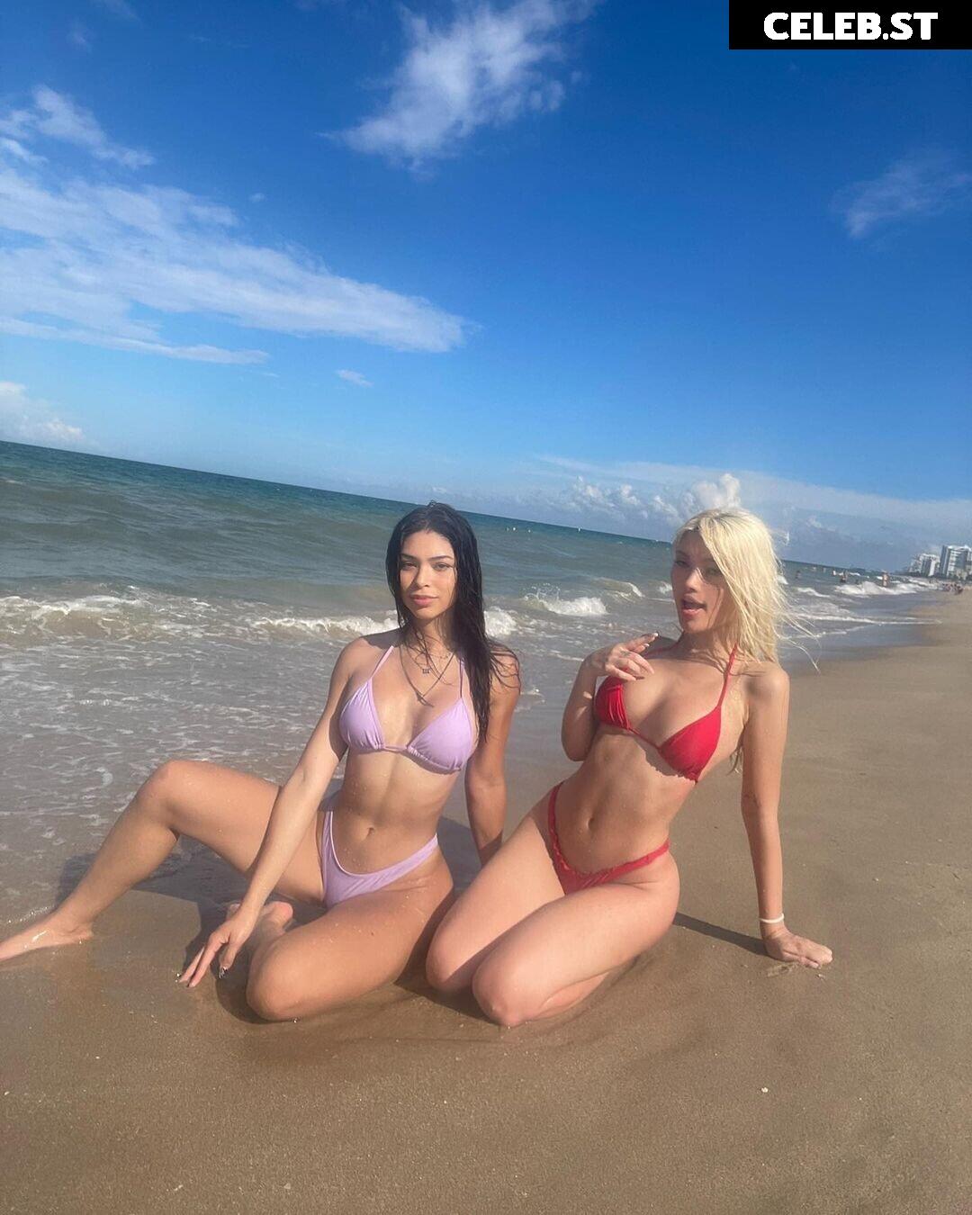 Diakimeko Image 2461878