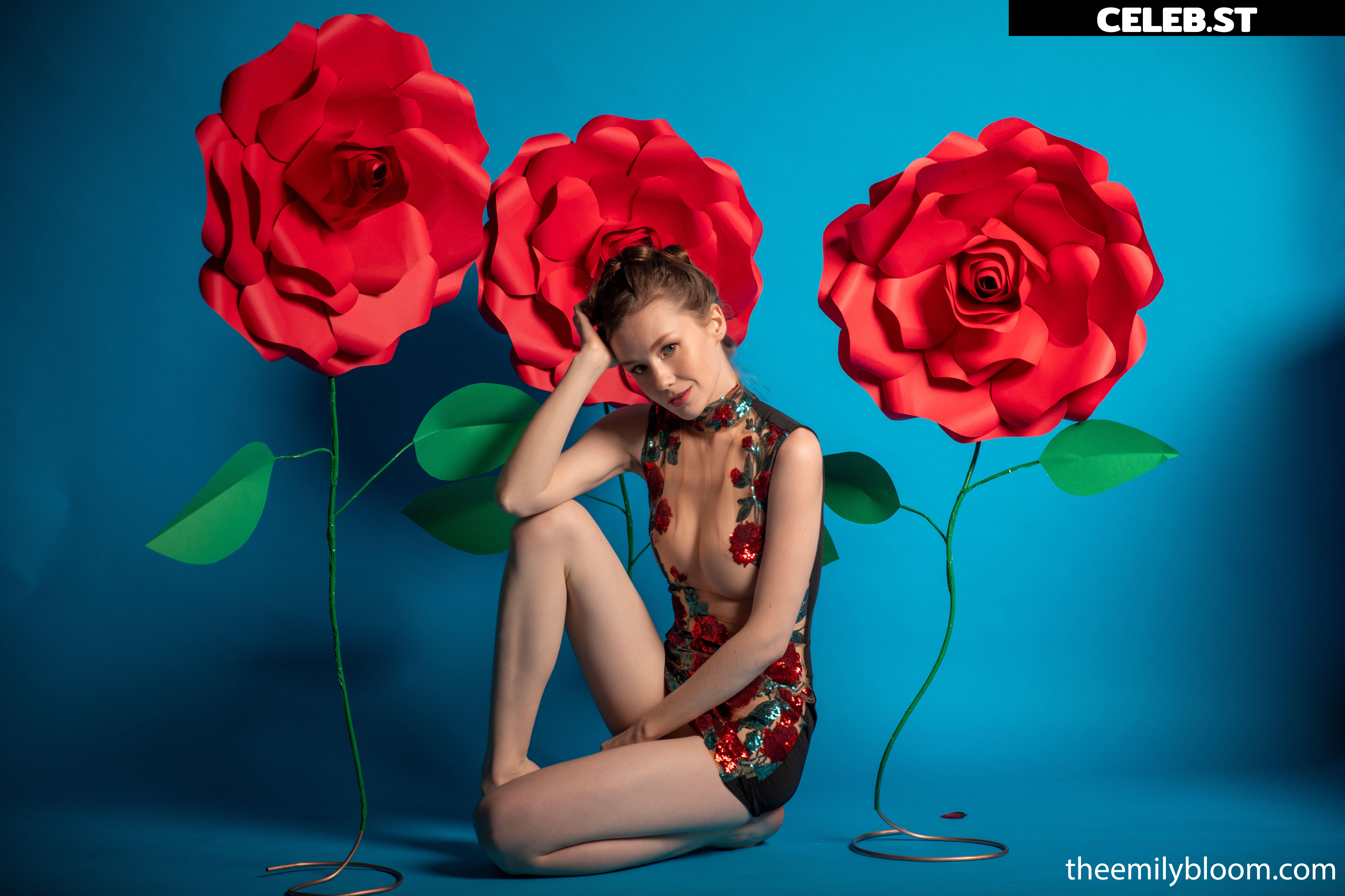 Emily Bloom Image 24616761