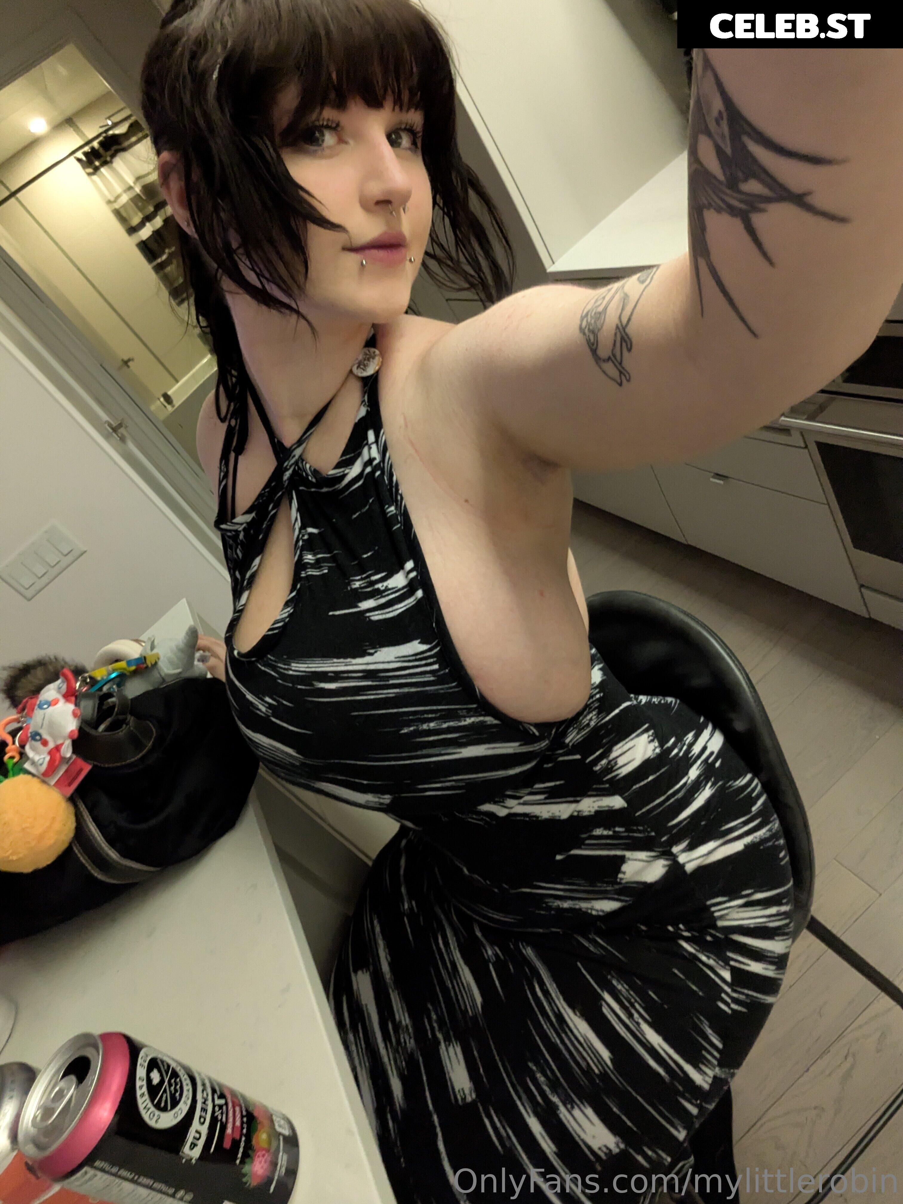 mylittlerobin | greylittlerobin | Robin Grey Image 24610286