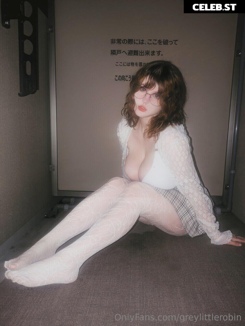 mylittlerobin | greylittlerobin | Robin Grey Image 24610279