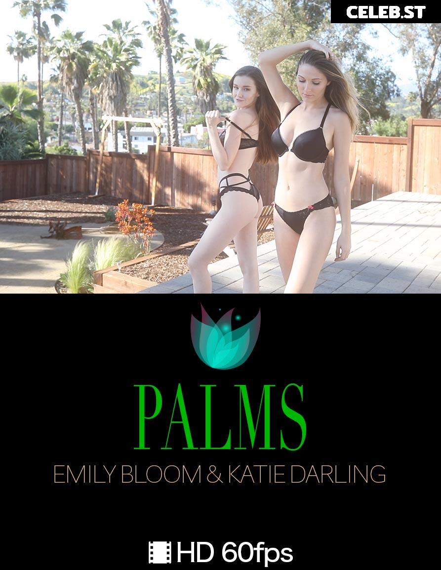 Emily Bloom Image 24623408