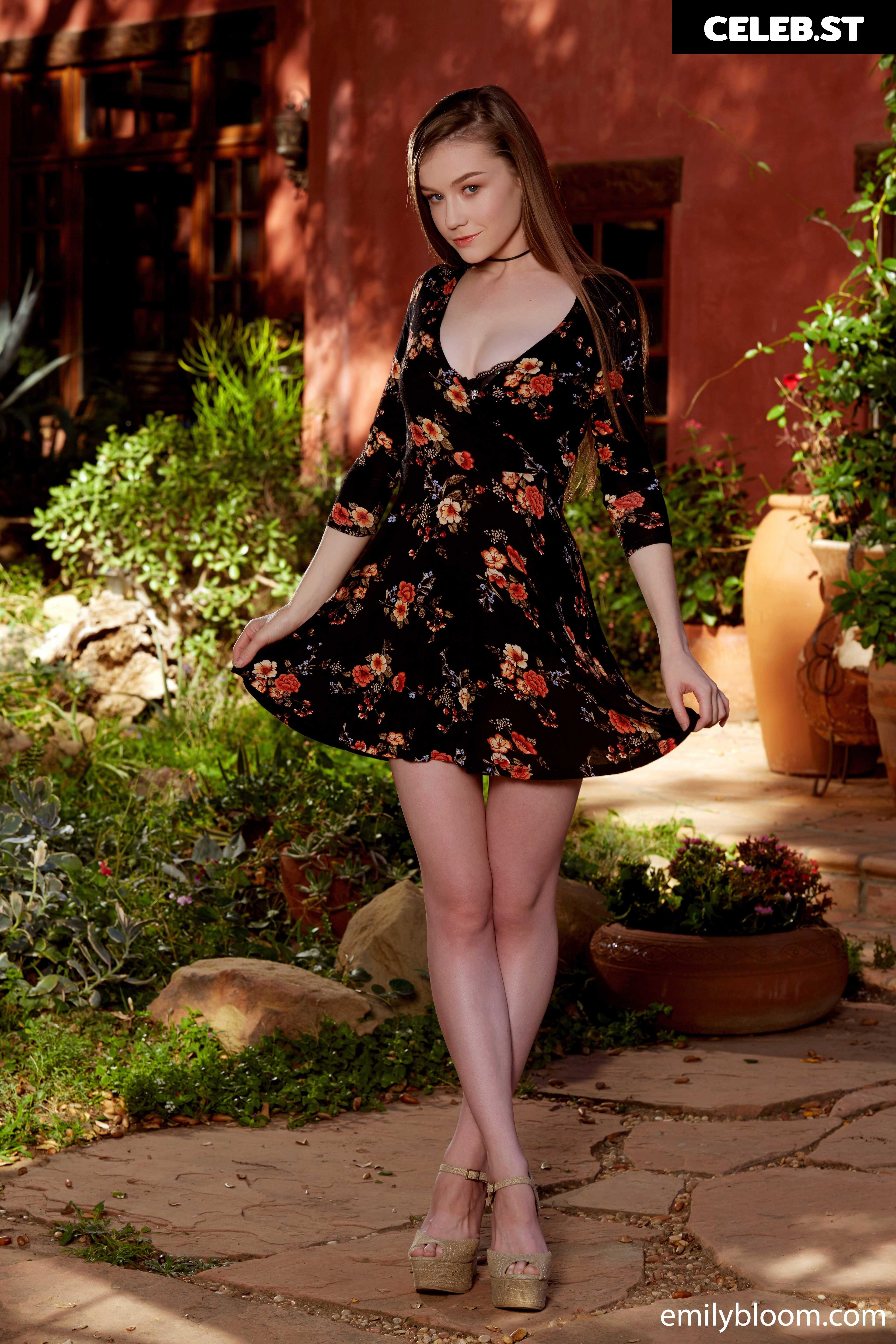Emily Bloom Image 24622058