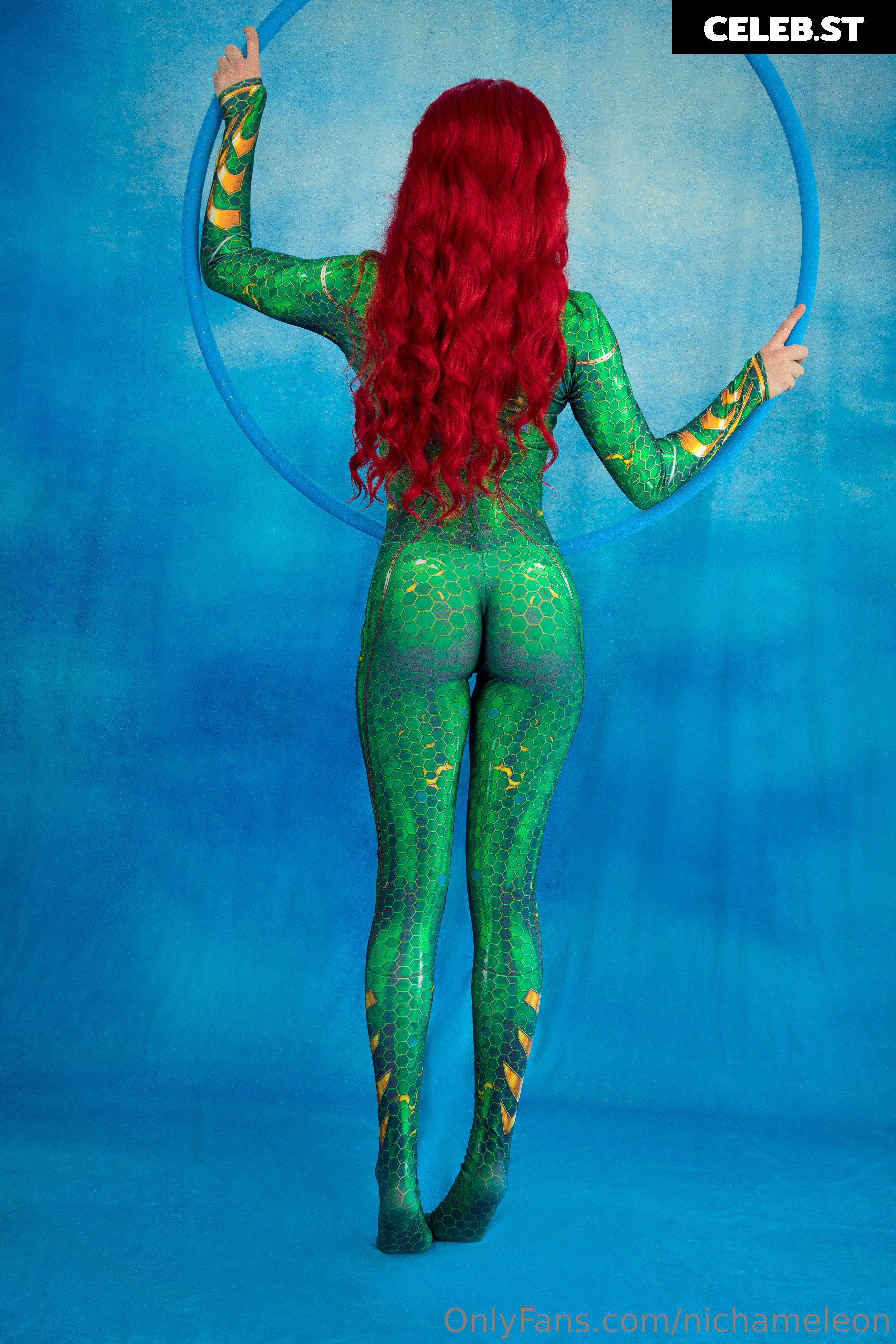 Nichameleon Image 24695706