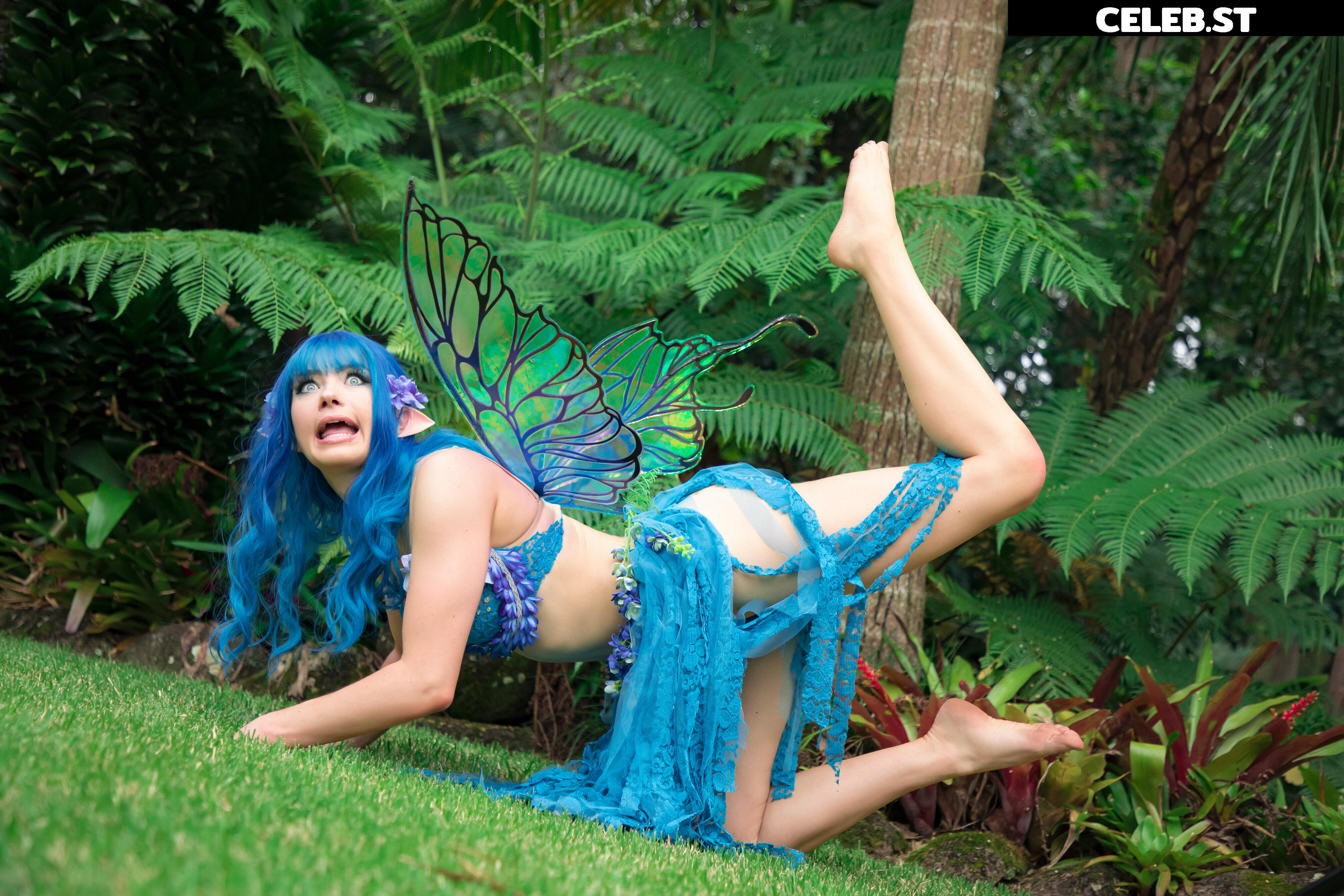 Nichameleon Image 24694304