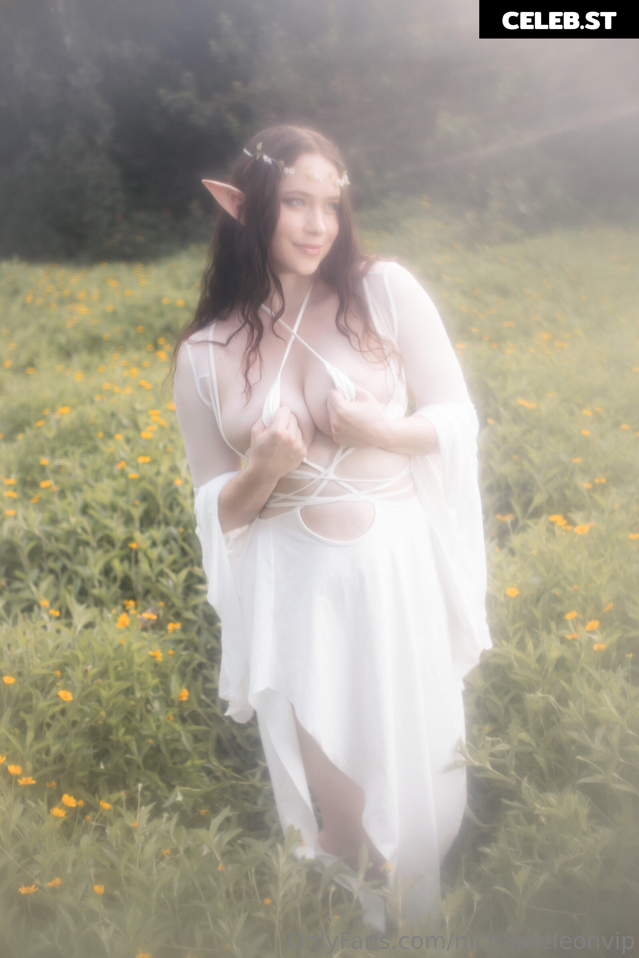 Nichameleon Image 24697940