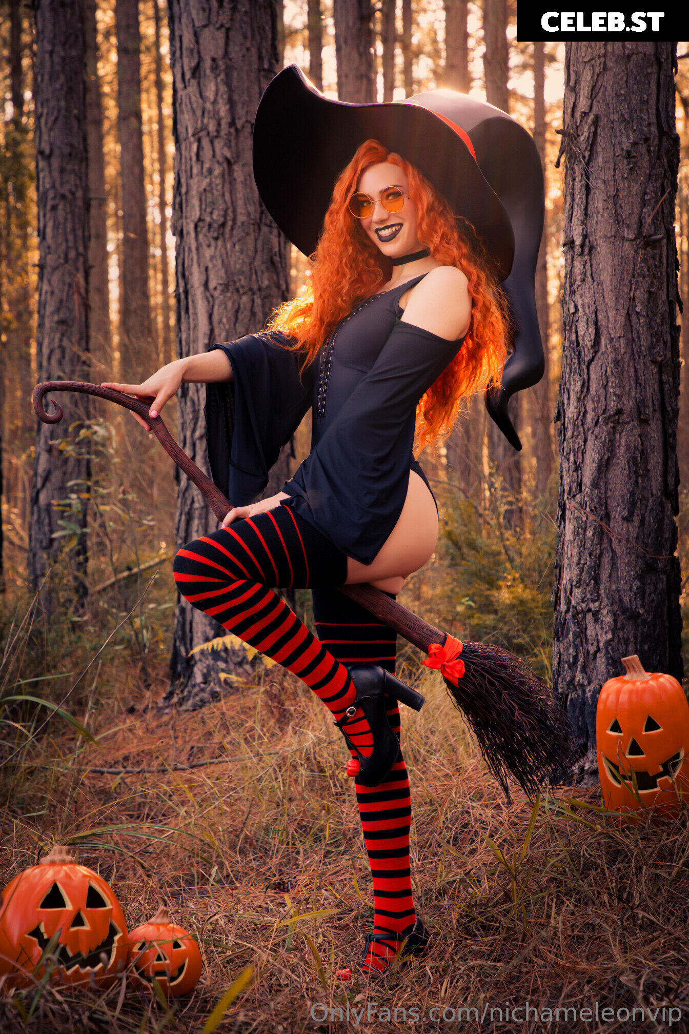 Nichameleon Image 24697212