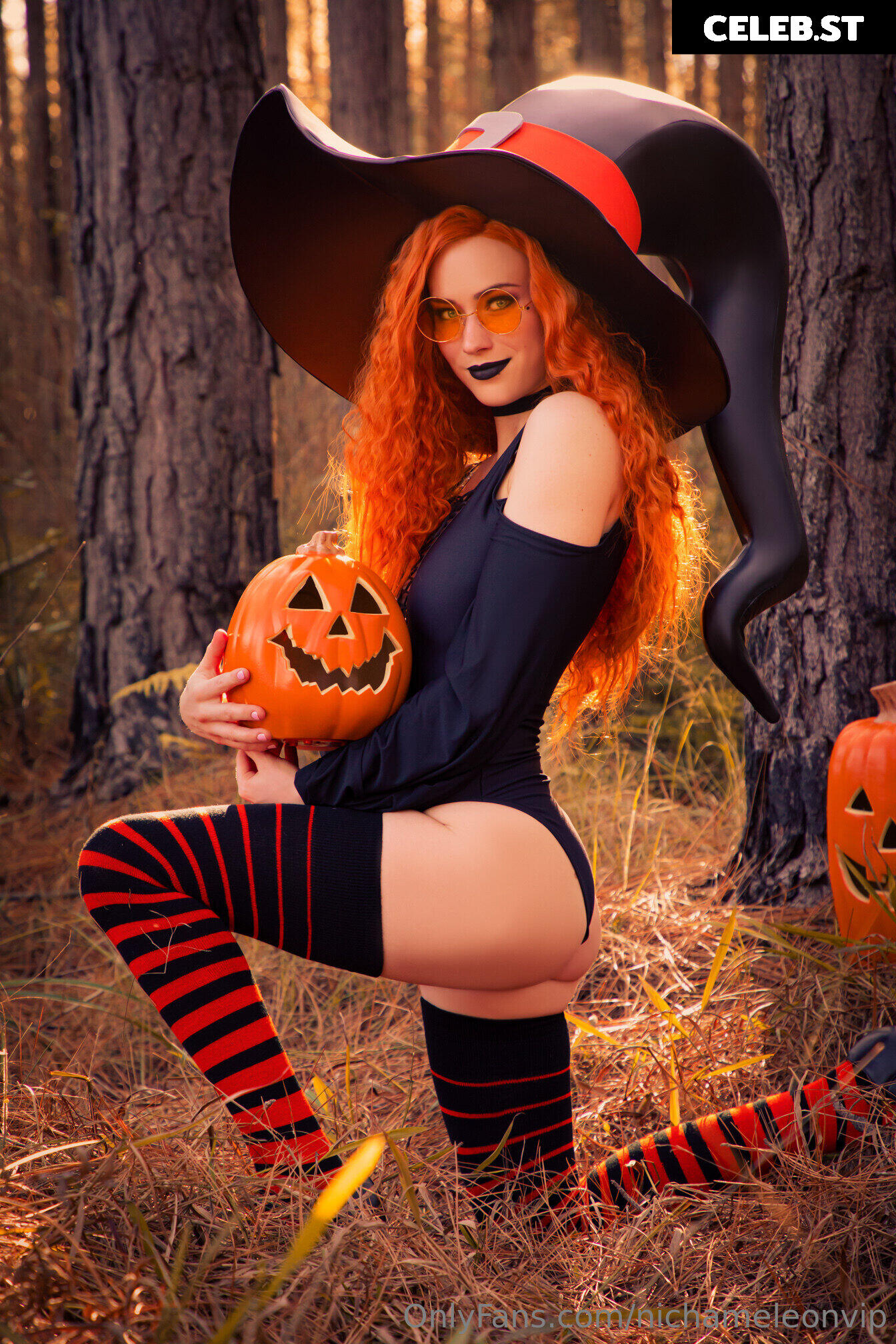 Nichameleon Image 24697209