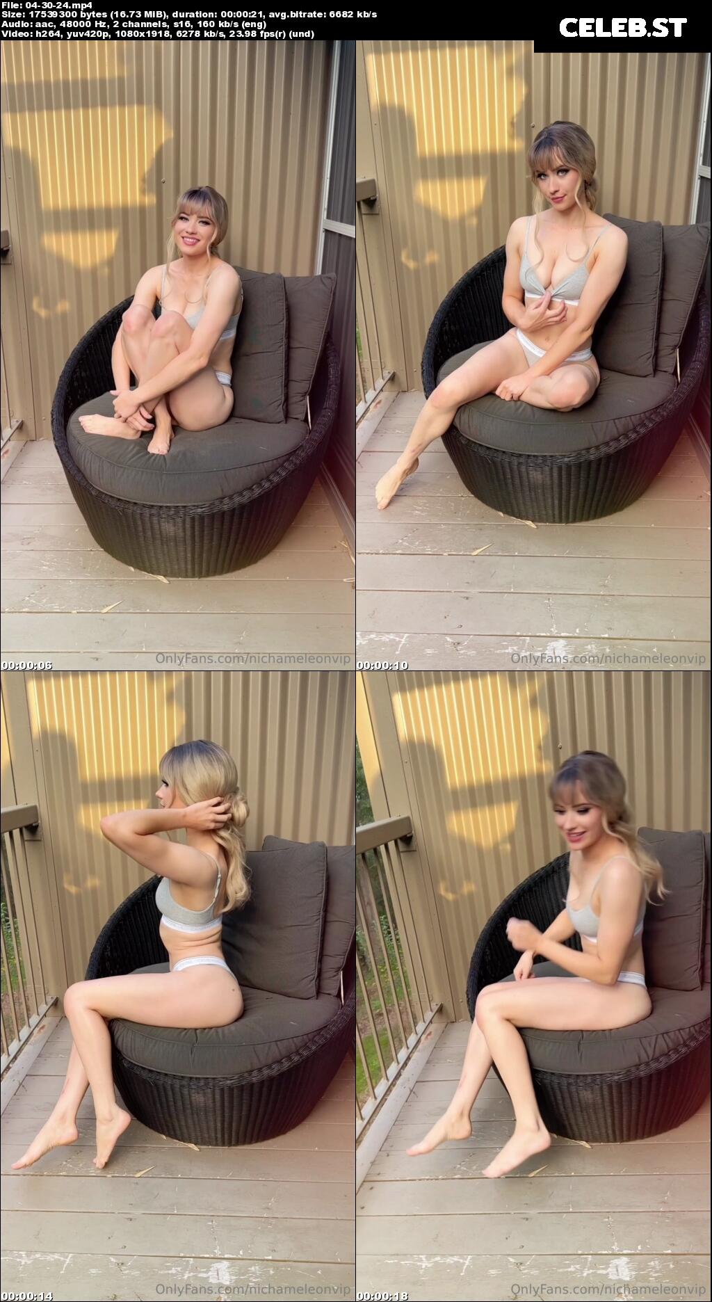Nichameleon Image 24696332