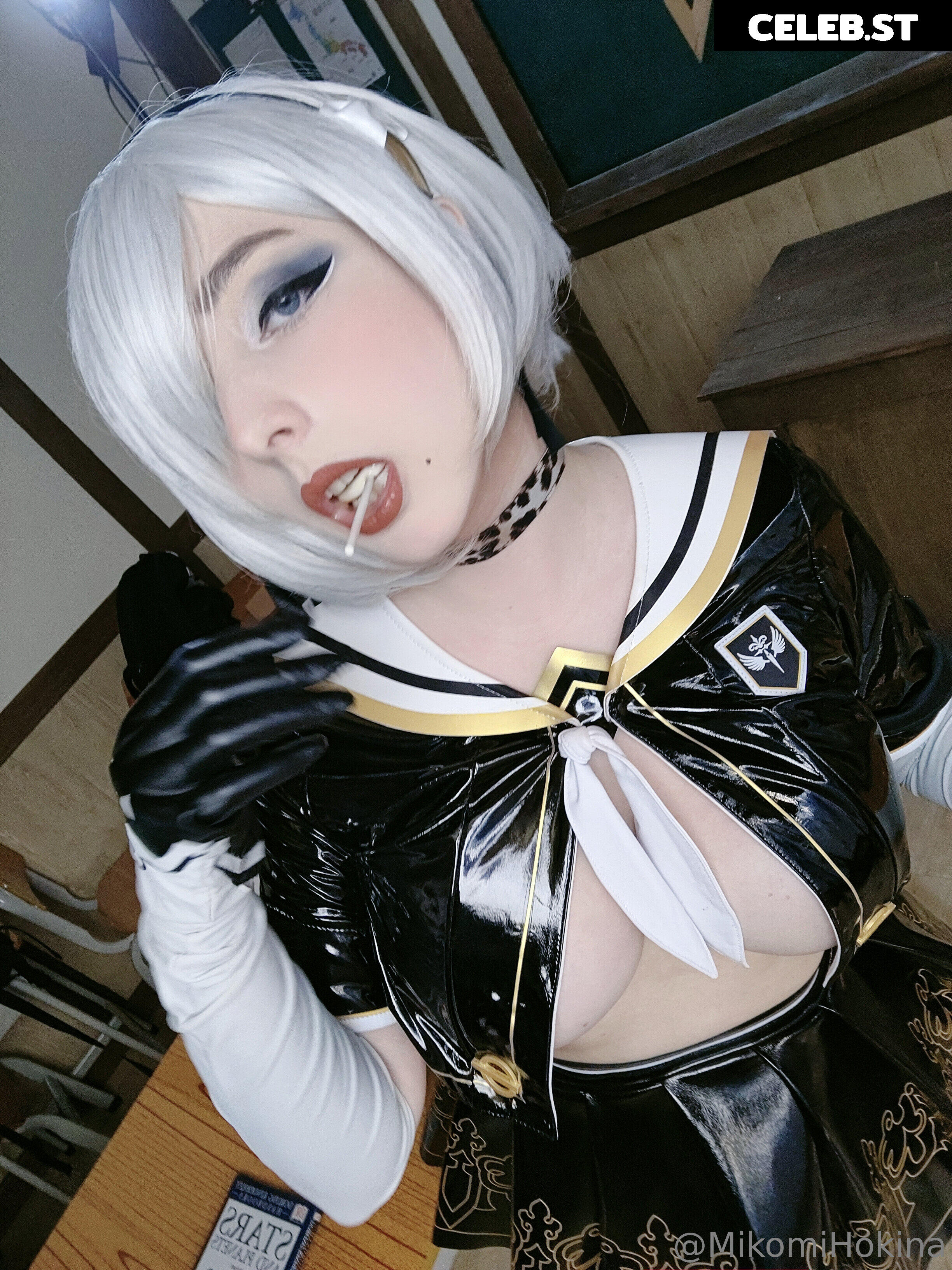 Mikomi Hokina Image 24691562