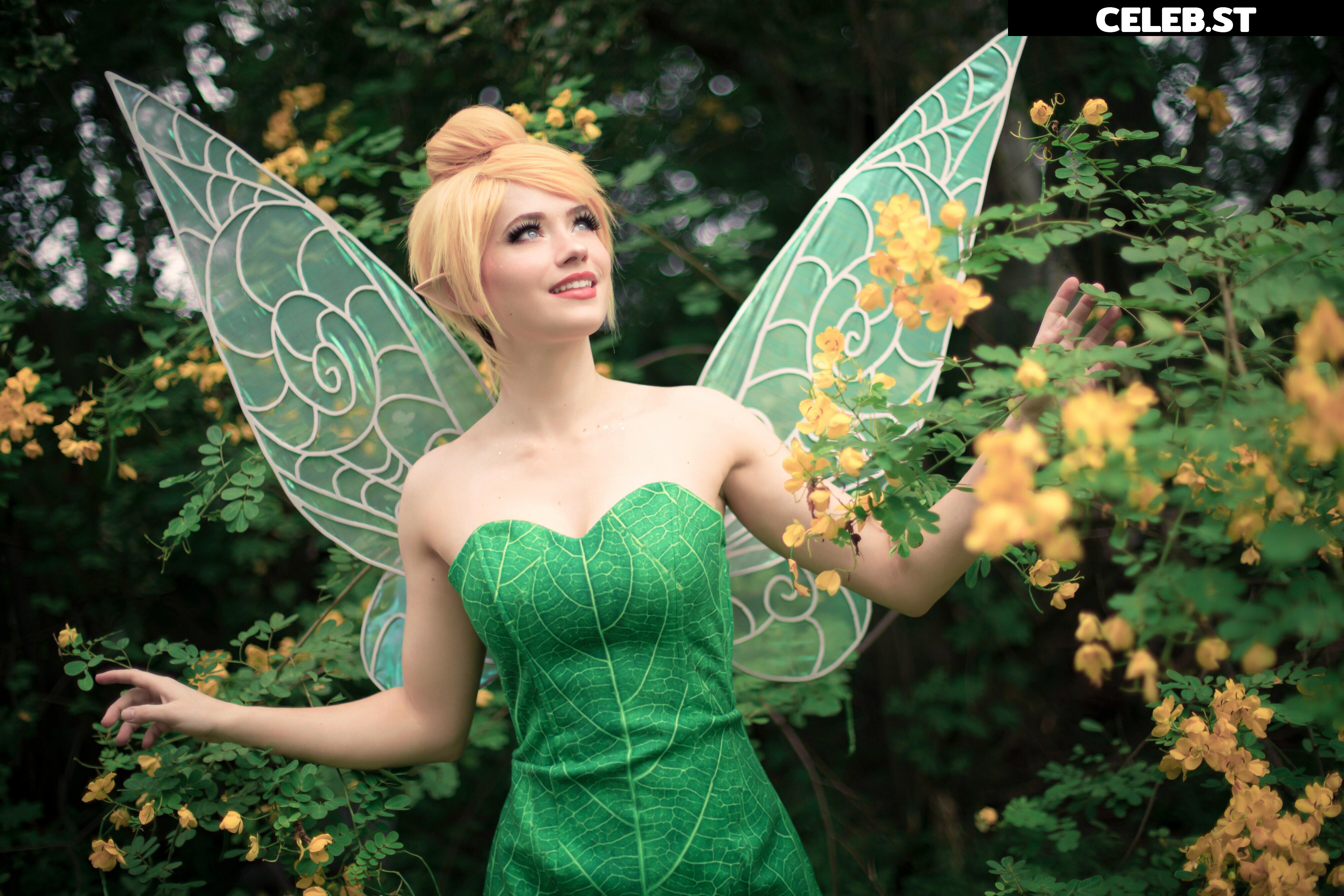 Nichameleon Image 24693332