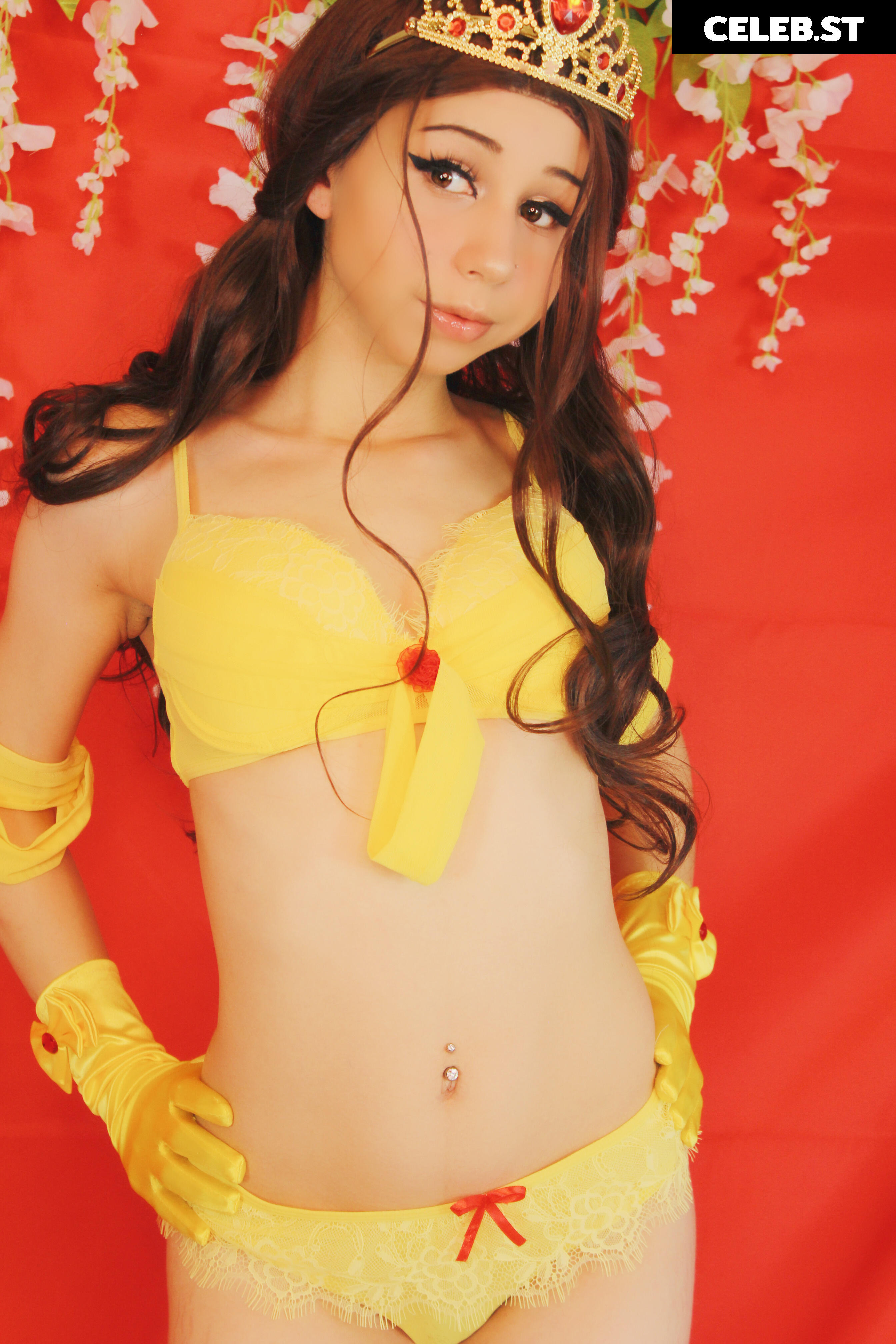 Kiwisunset Image 2469281