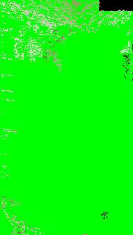 Yellz0 | Yellz00 Image 24574852