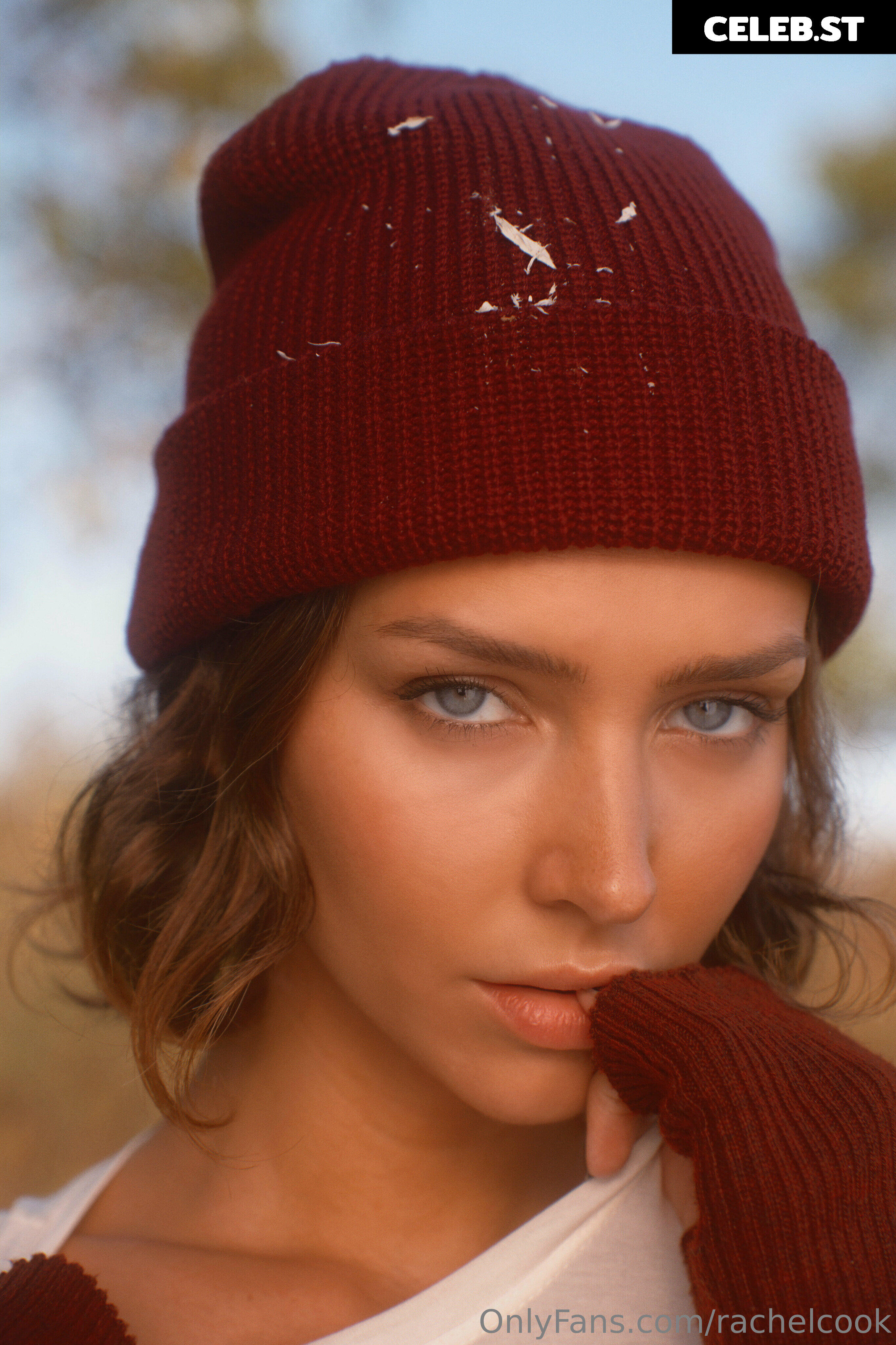 Rachel Cook Image 24545578