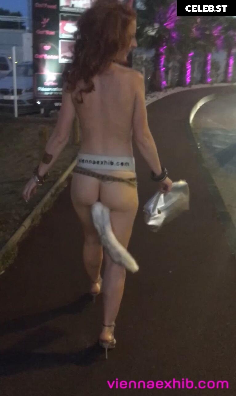 Vienna Love Image 2454712