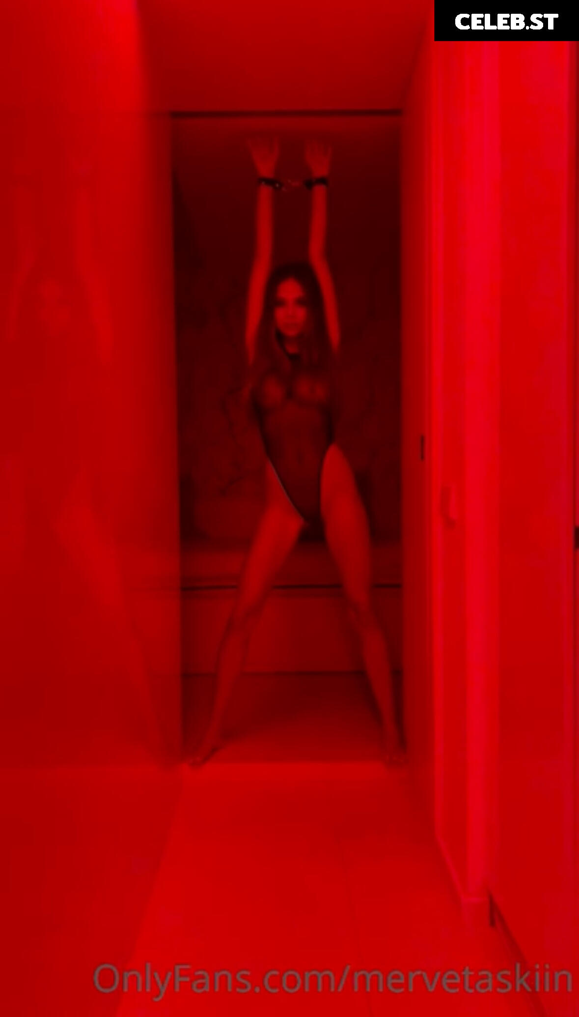 Merve Taskin Image 2454619