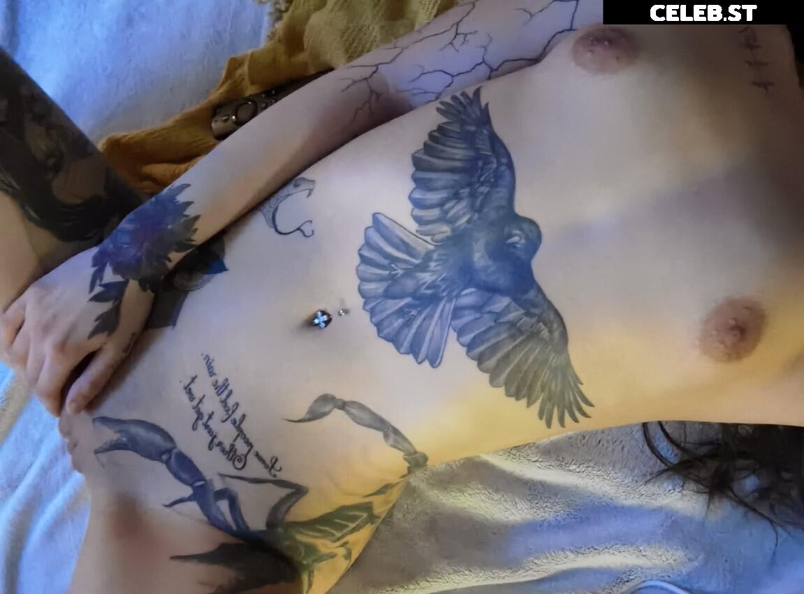 Laza Lane Image 2451925