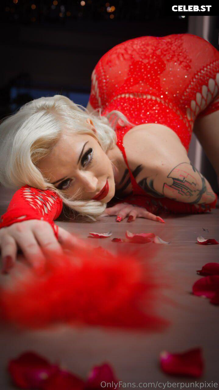 PinupPixie Image 2453860