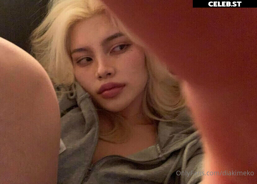 Diakimeko Image 2453290